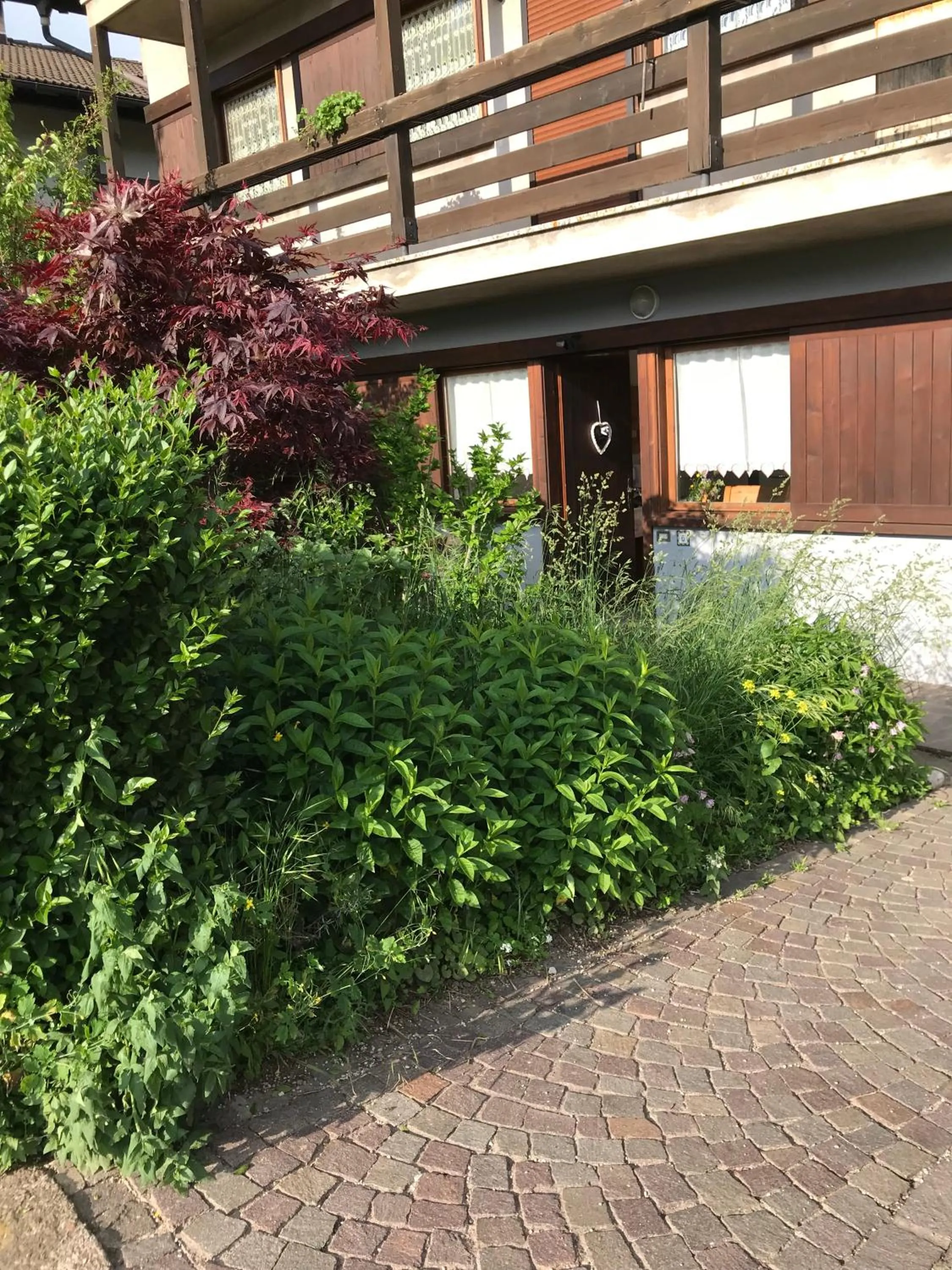 Property building in Almida