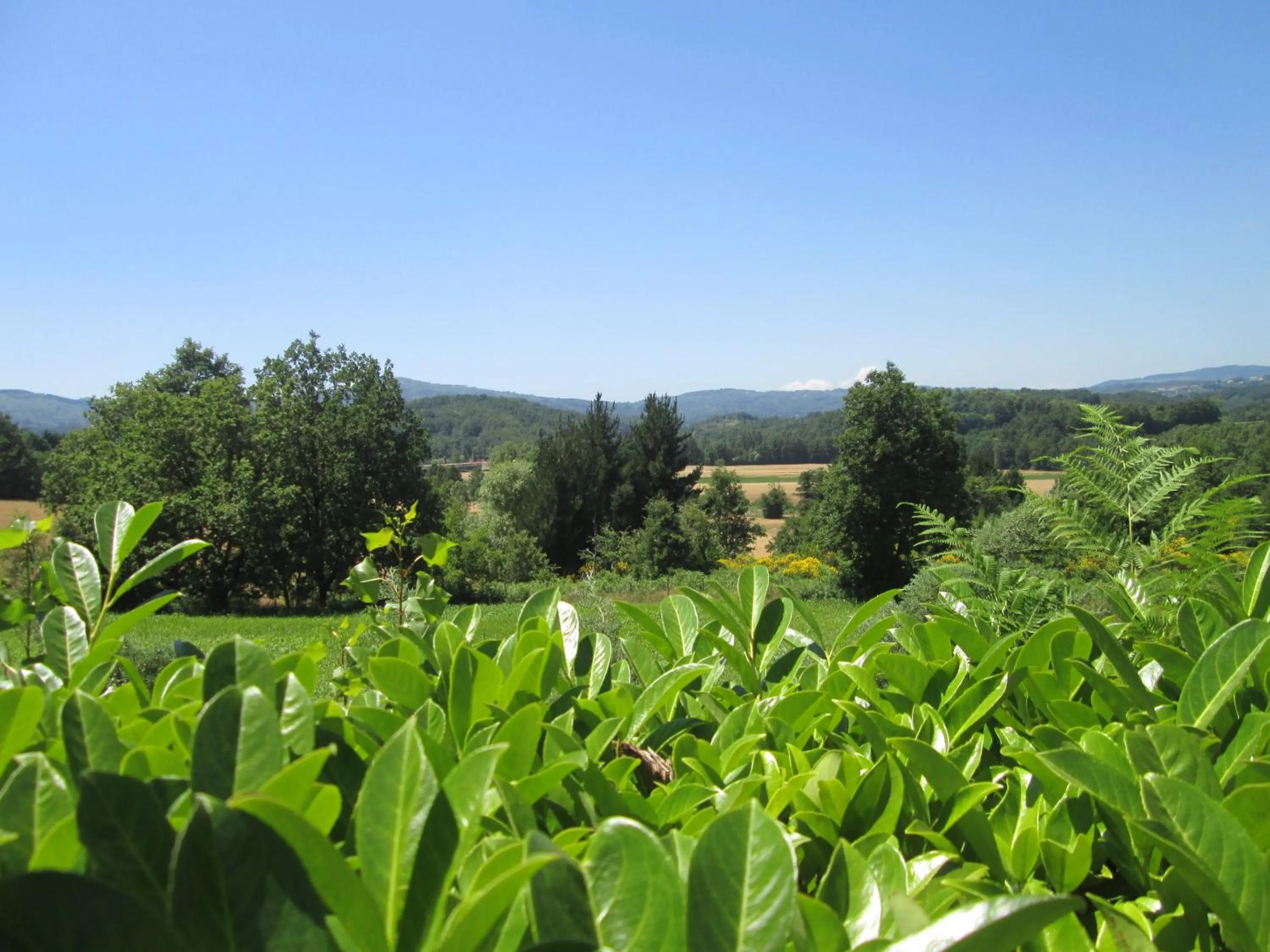 Day in Palahotel Vallenoce