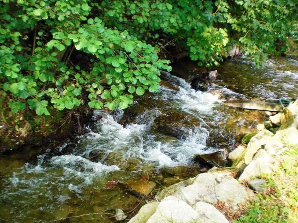 River view in Hotel Rodewisch