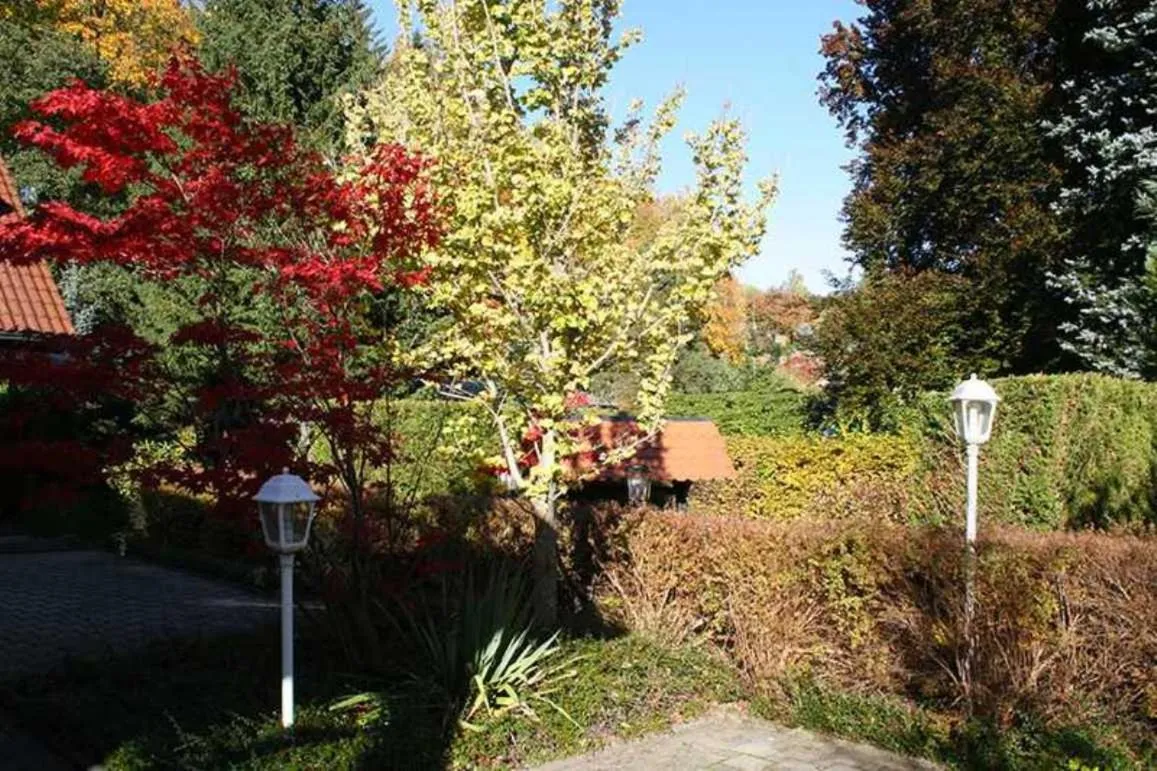 Garden view in Hotel Rodewisch