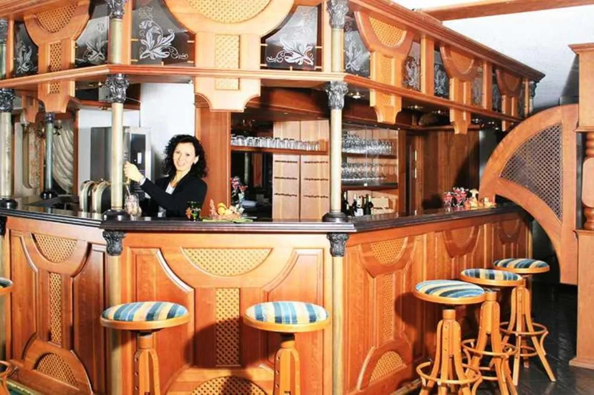 Lounge or bar in Hotel Rodewisch