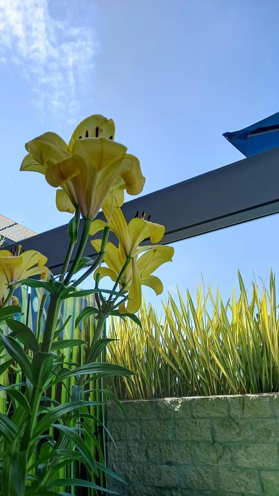 Property building in Pontevedra Hotel Boutique