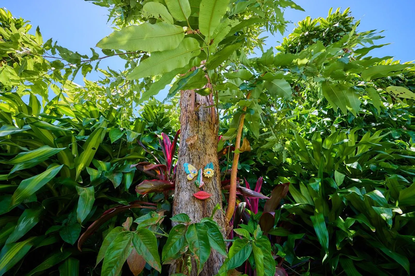 Garden in On The Wallaby Eco Lodge