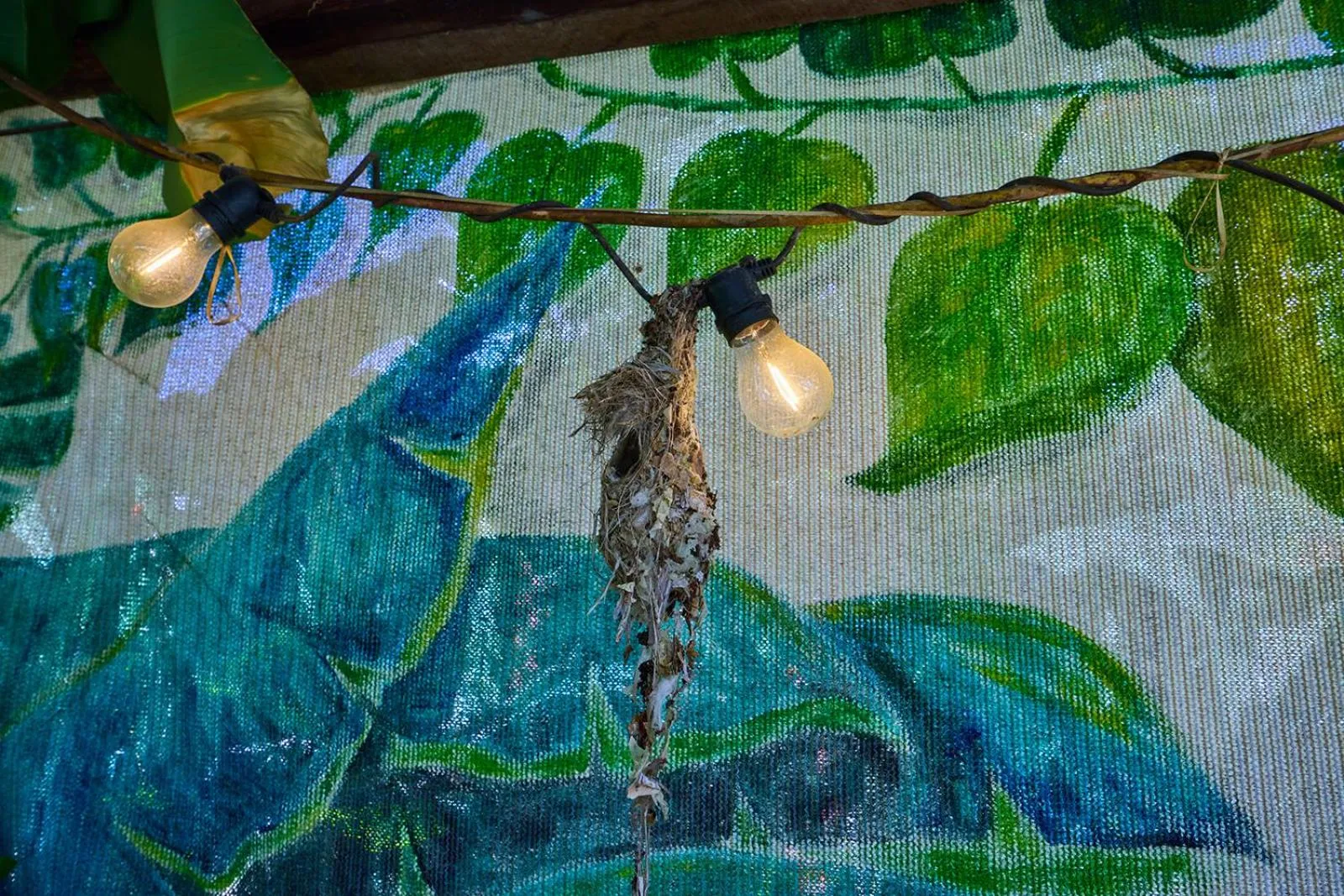 Garden in On The Wallaby Eco Lodge