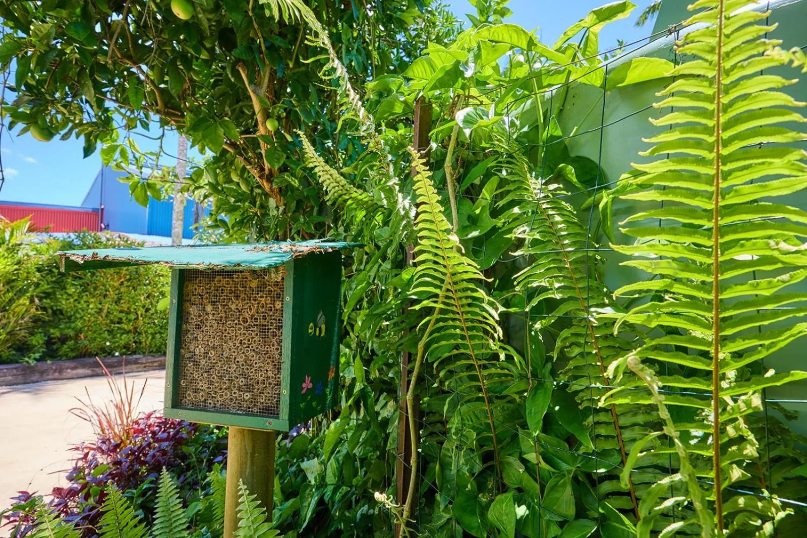 Garden in On The Wallaby Eco Lodge