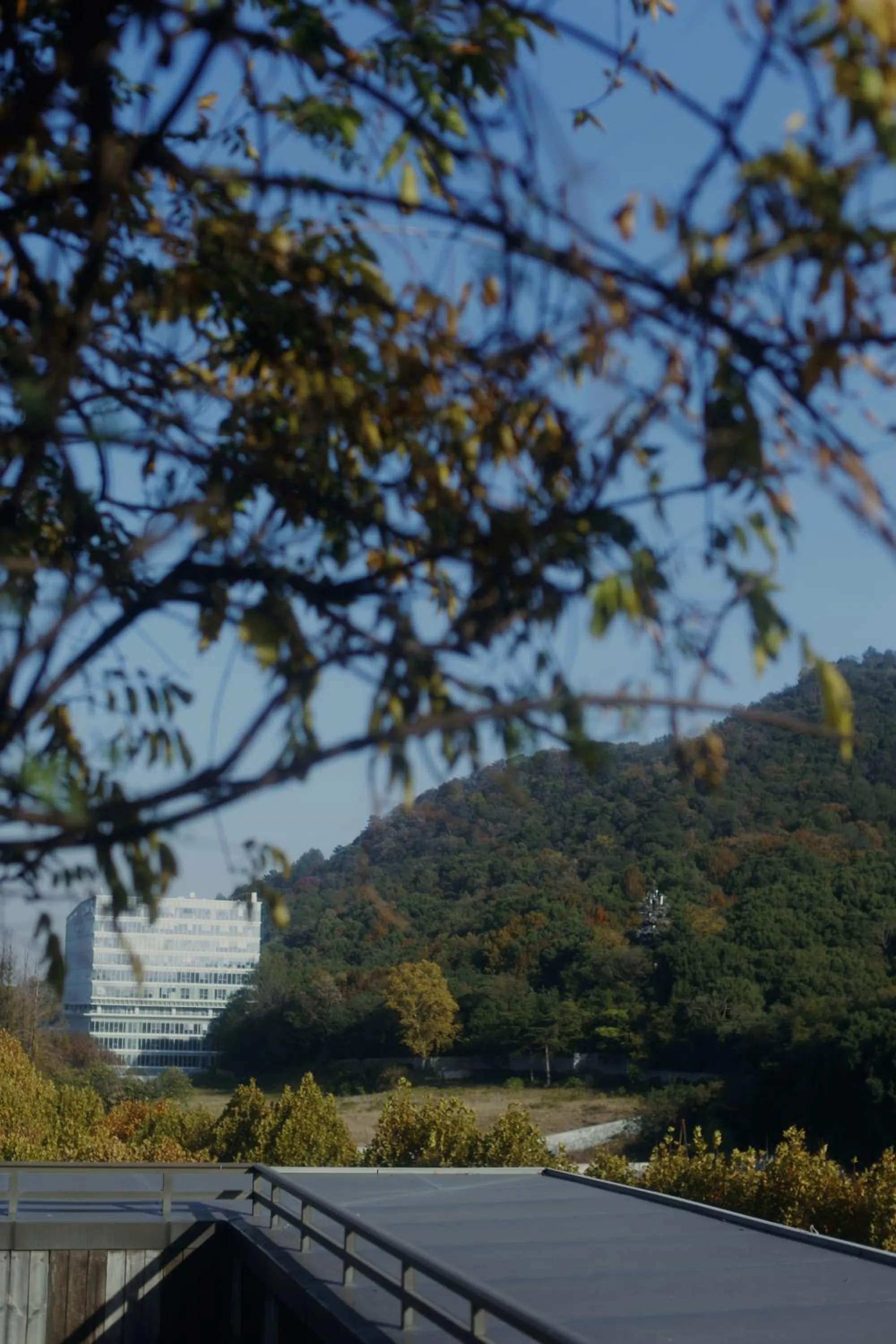 Balcony/Terrace in The Nook Hotel Hangzhou - A design hotel, 20 mins to West Lake and Lingyin Temple