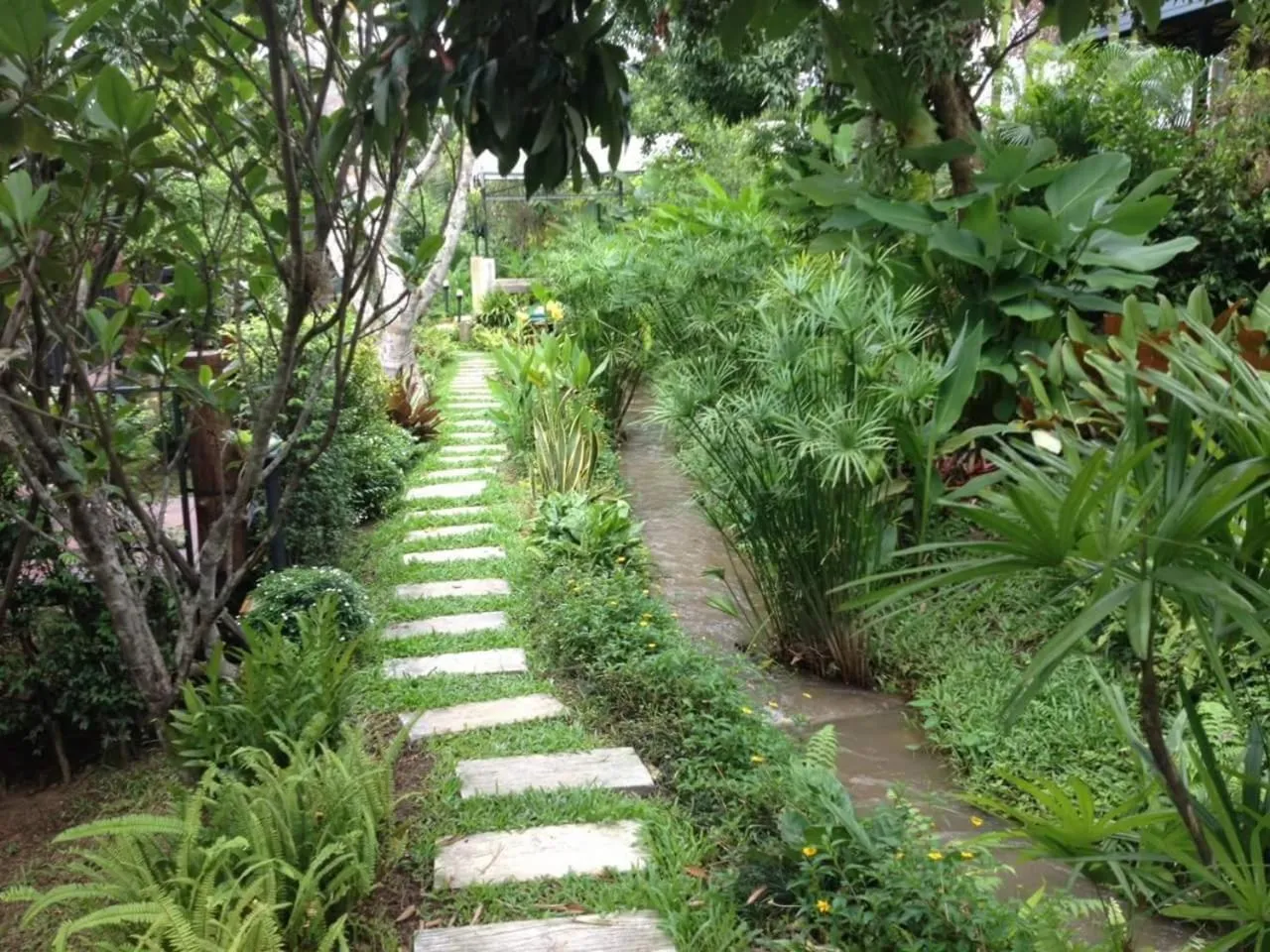 Garden view in Buraphat Resort