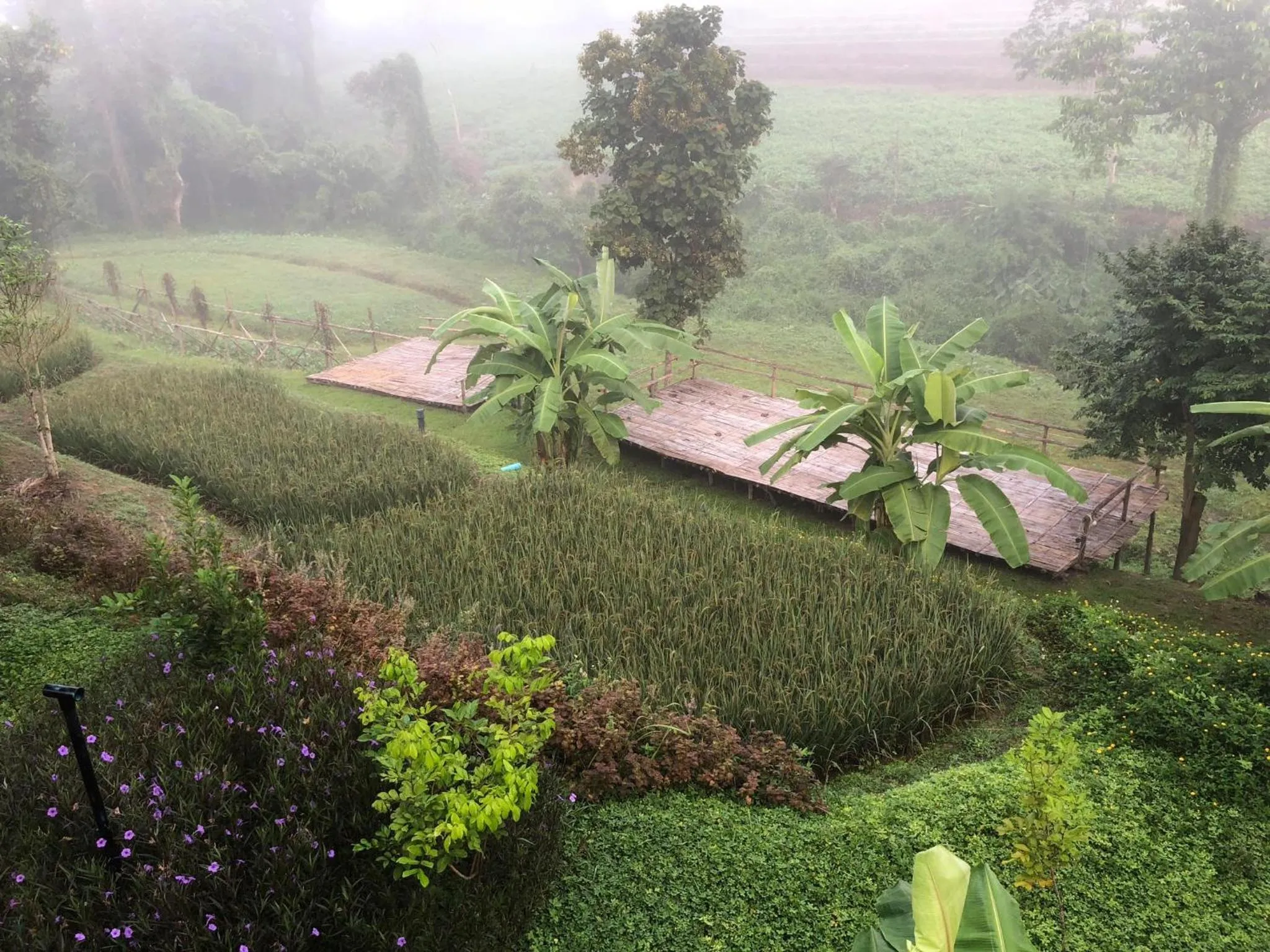 Garden view in Buraphat Resort