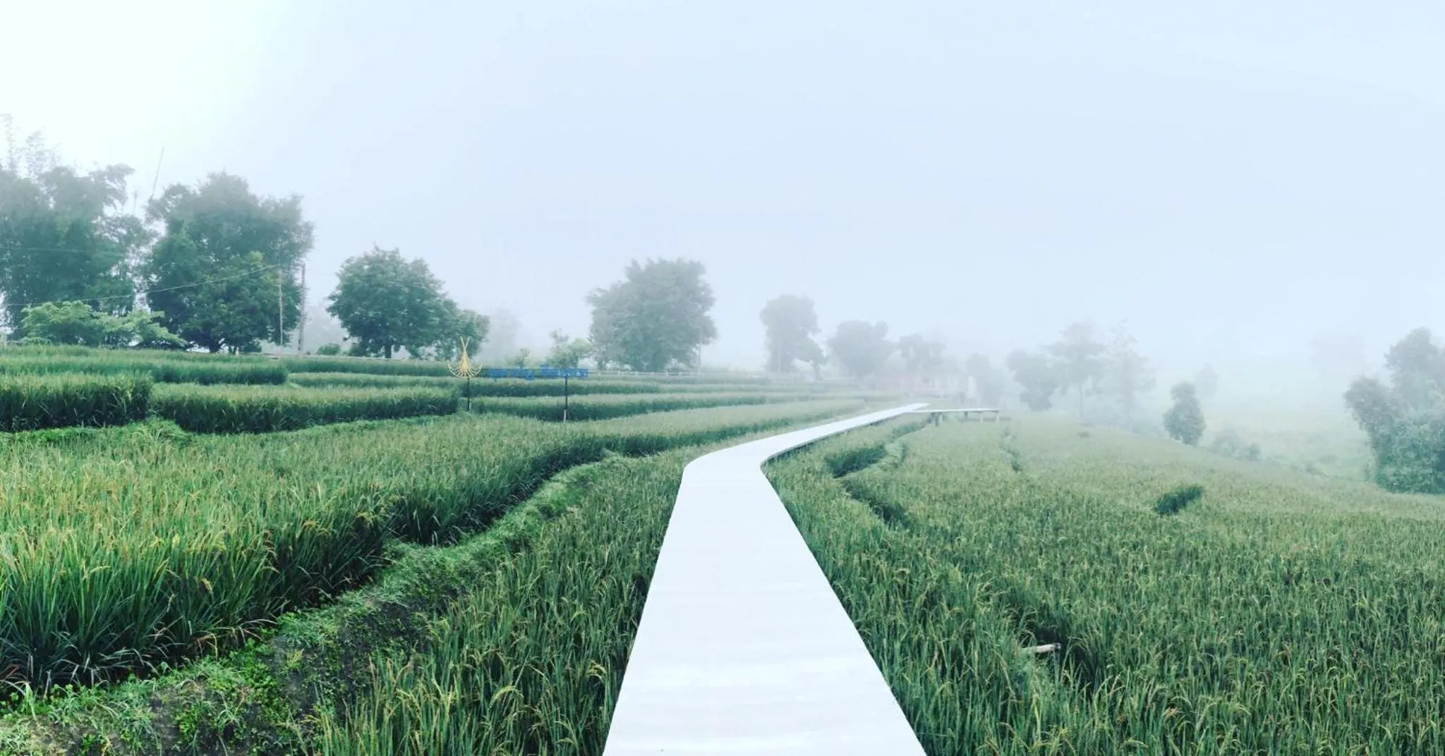 View (from property/room) in Buraphat Resort