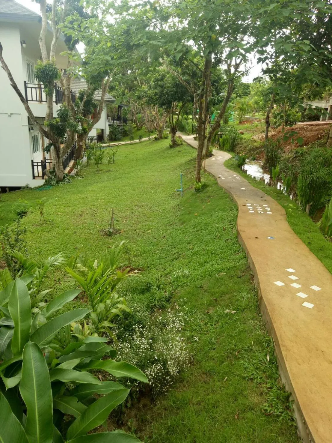 Garden view in Buraphat Resort