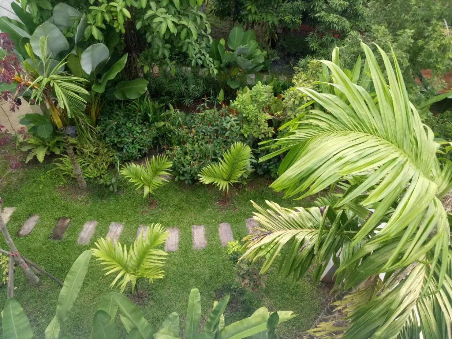 Garden view in Buraphat Resort