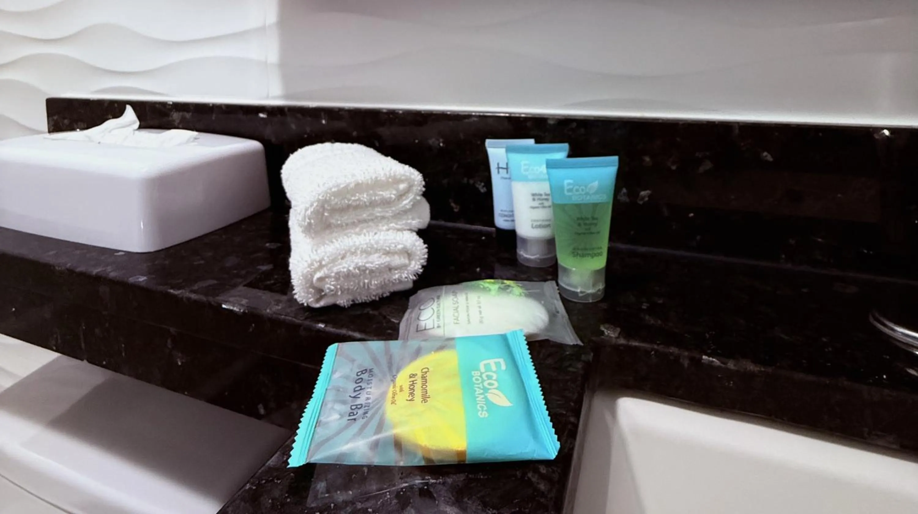 Bathroom in Umbrella Hotel Bronx