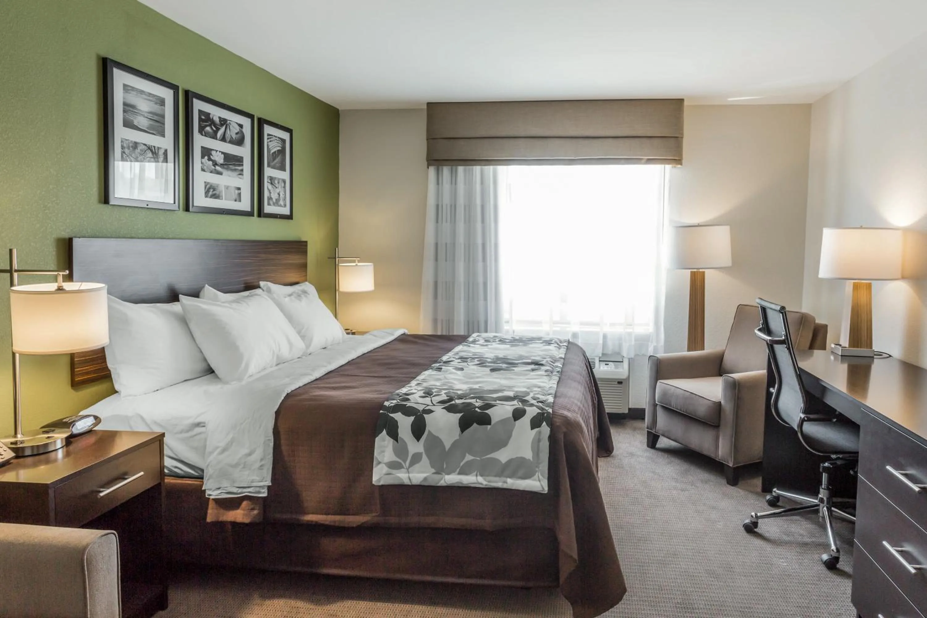 TV and multimedia, Bed in Sleep Inn & Suites Dayton South