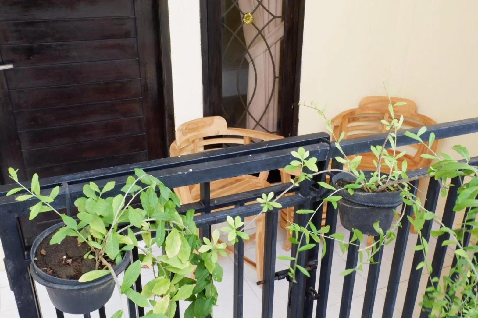 Balcony/Terrace in Akatara Stay