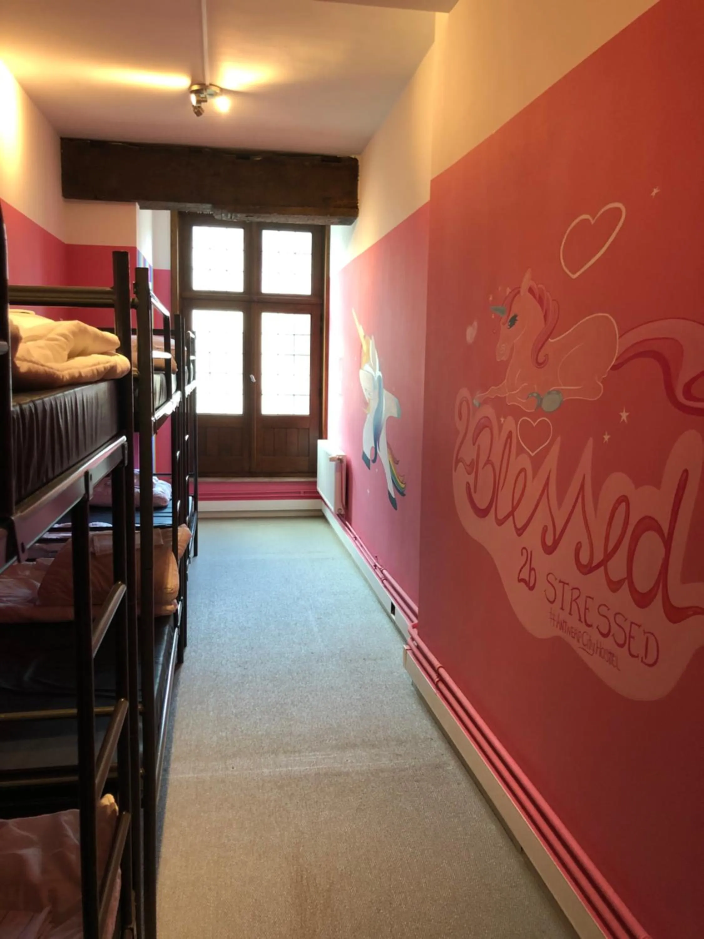 Bed in Antwerp City Hostel