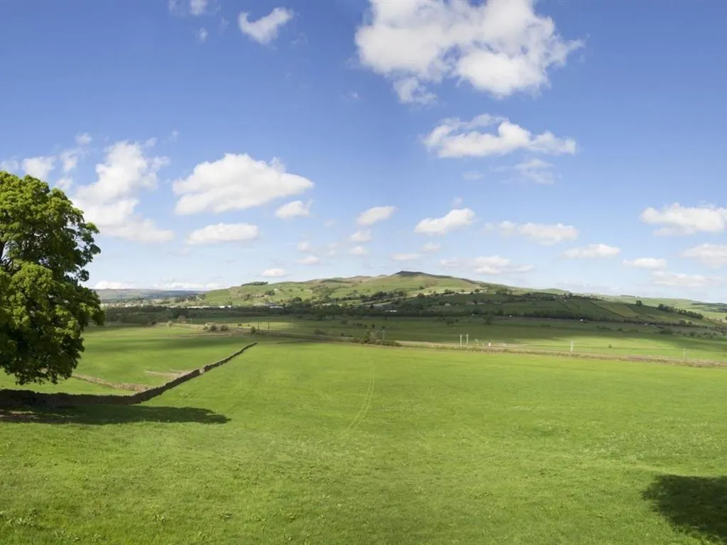 View (from property/room) in Throstle Nest Farm