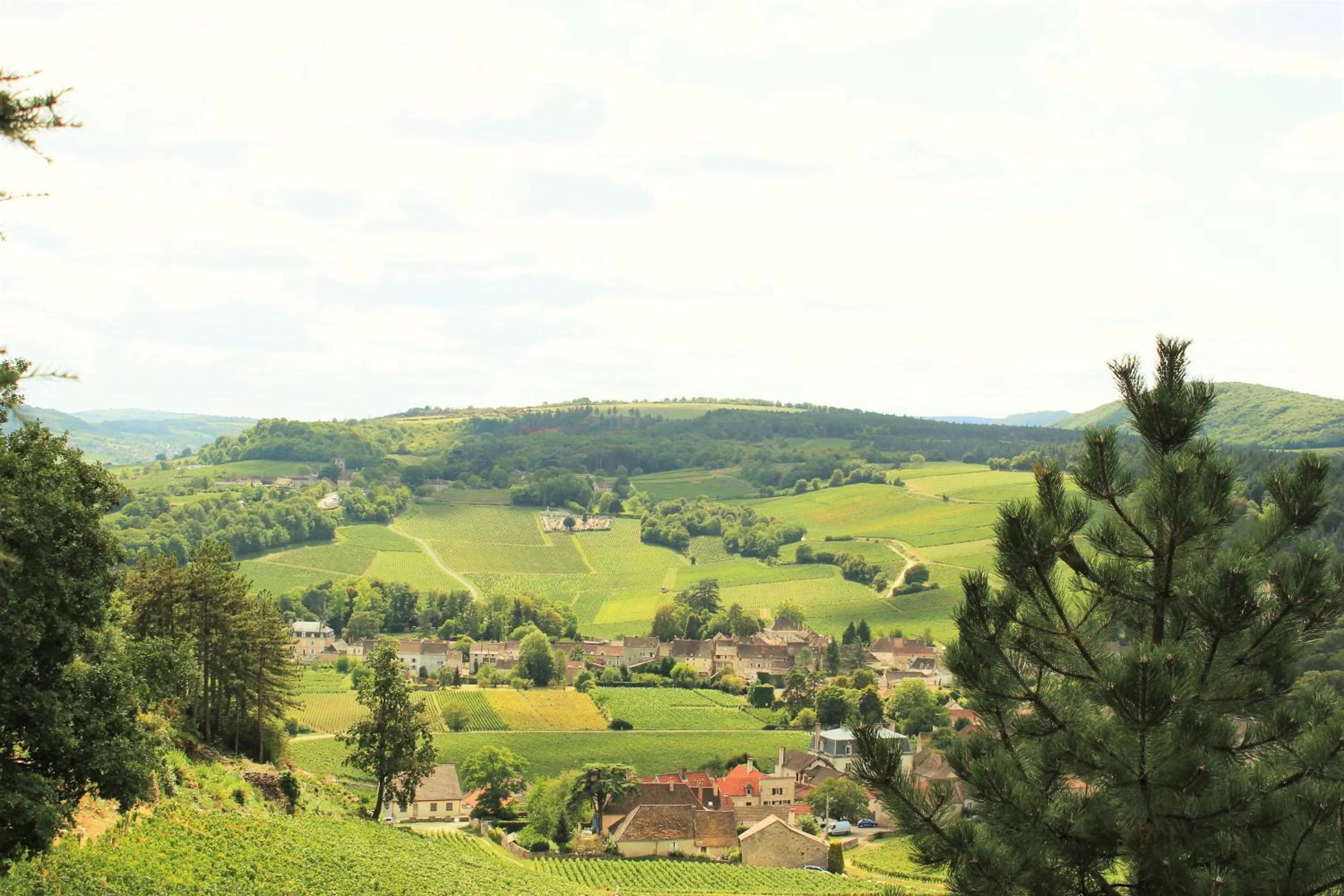 Off site in Domaine Pont Juillet