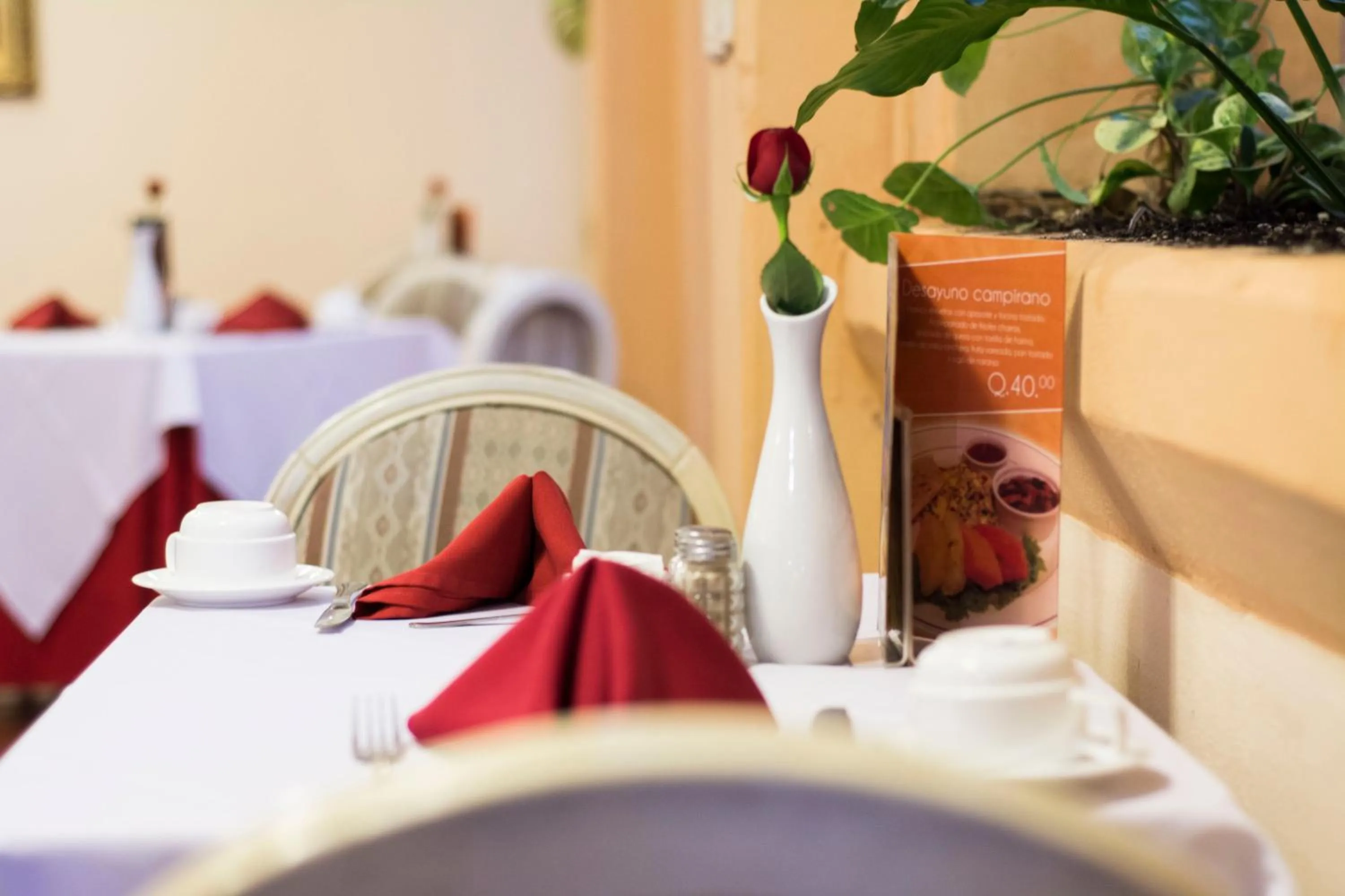 Restaurant/places to eat in Hotel Royal Palace