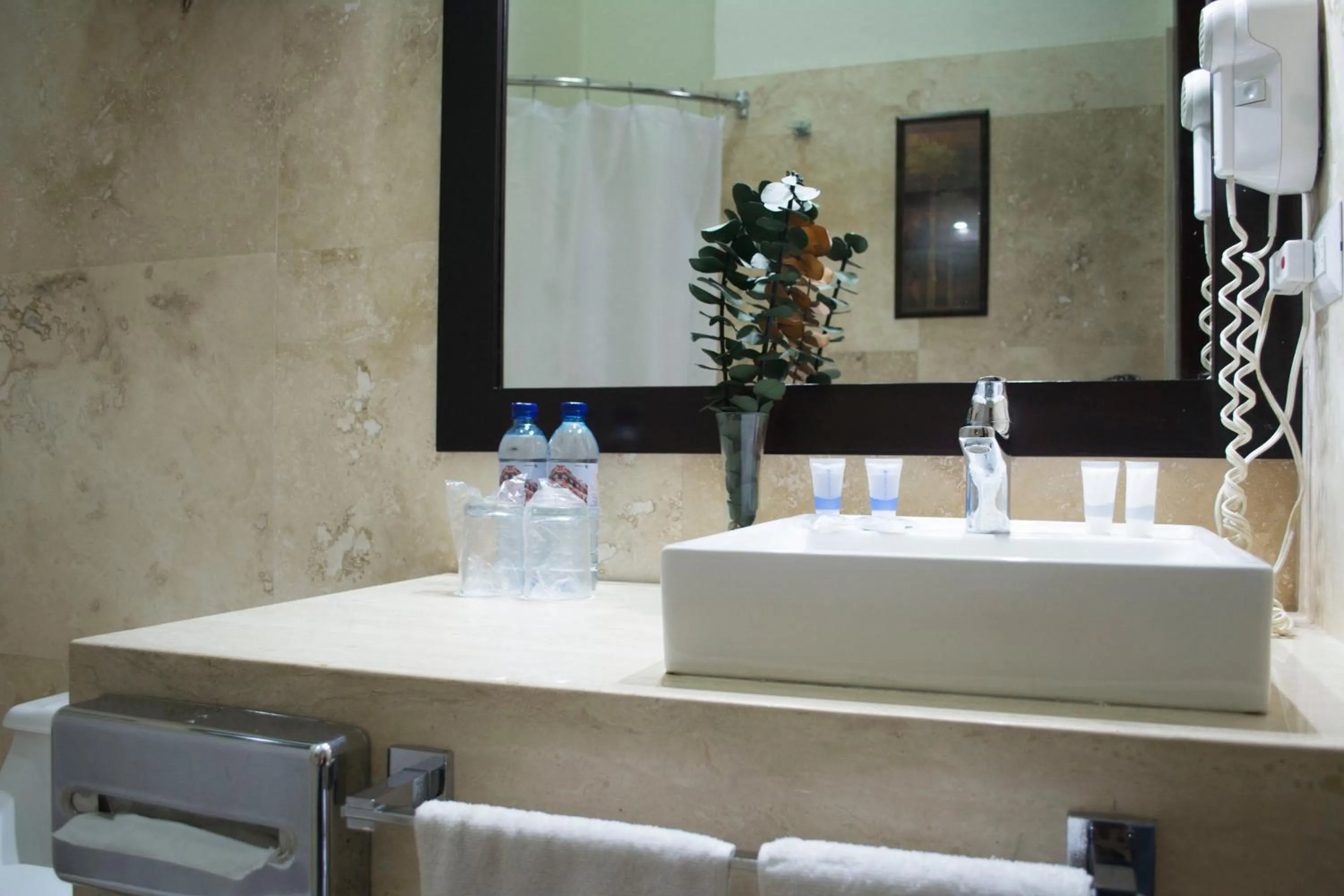 Bathroom in Hotel Royal Palace