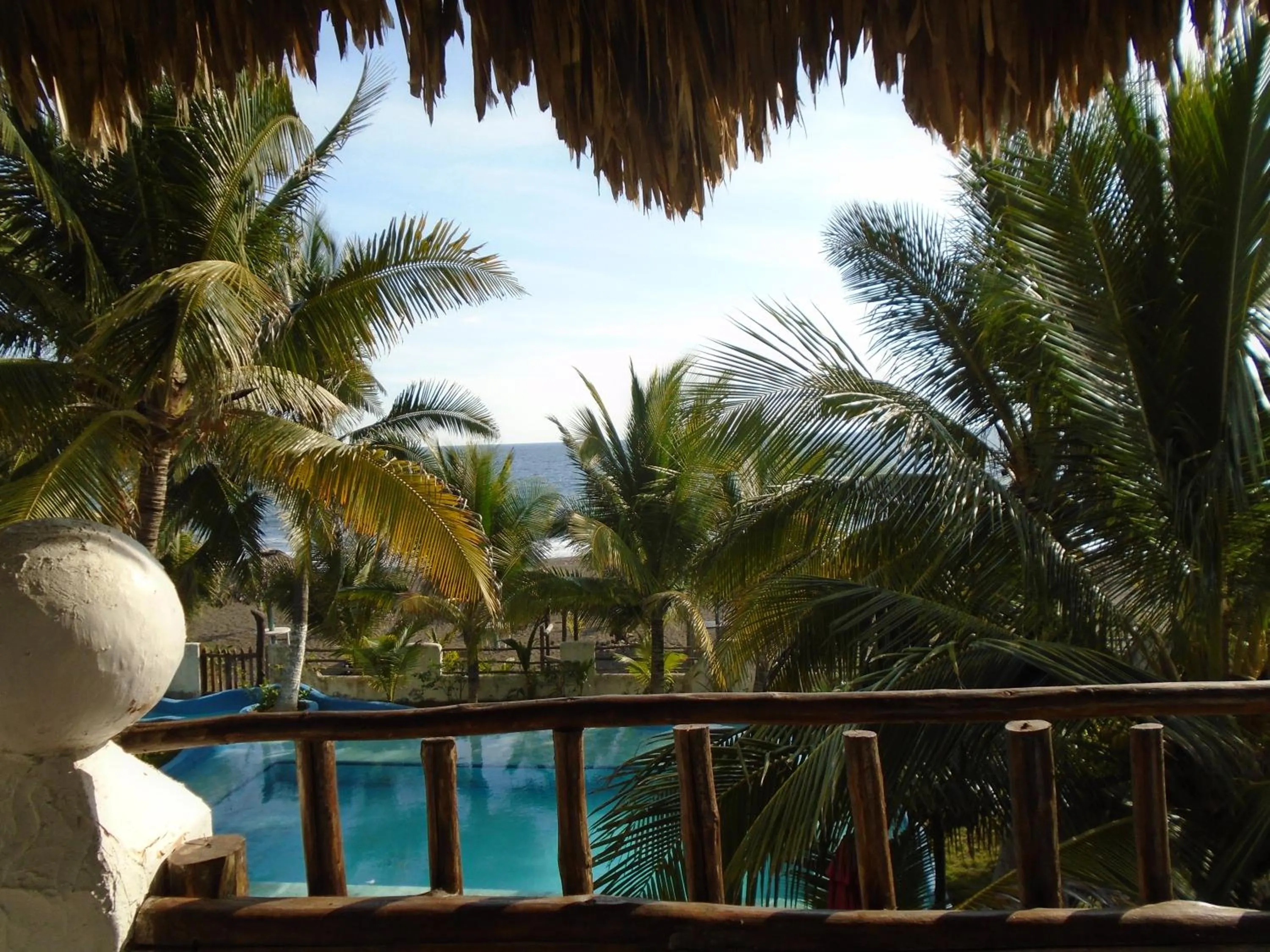 Pool view in Marbella Eco Lodge
