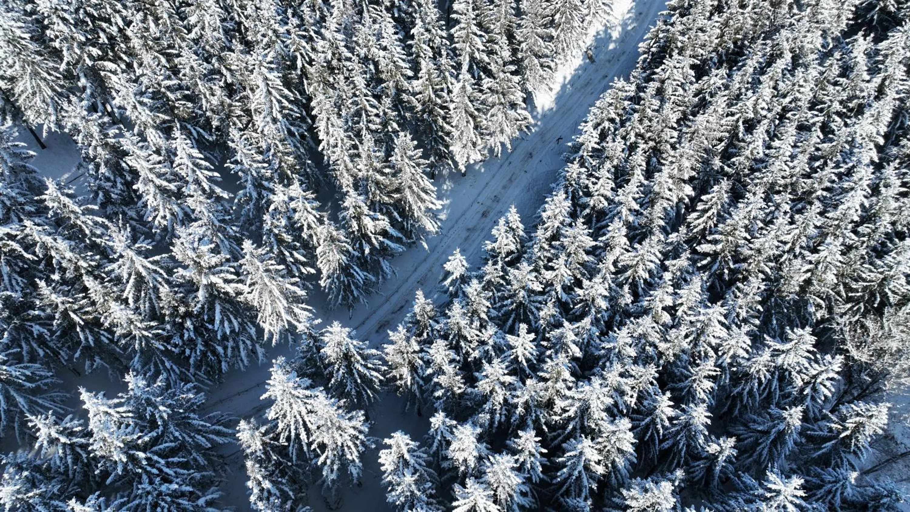 Natural landscape in Mona Yongpyong