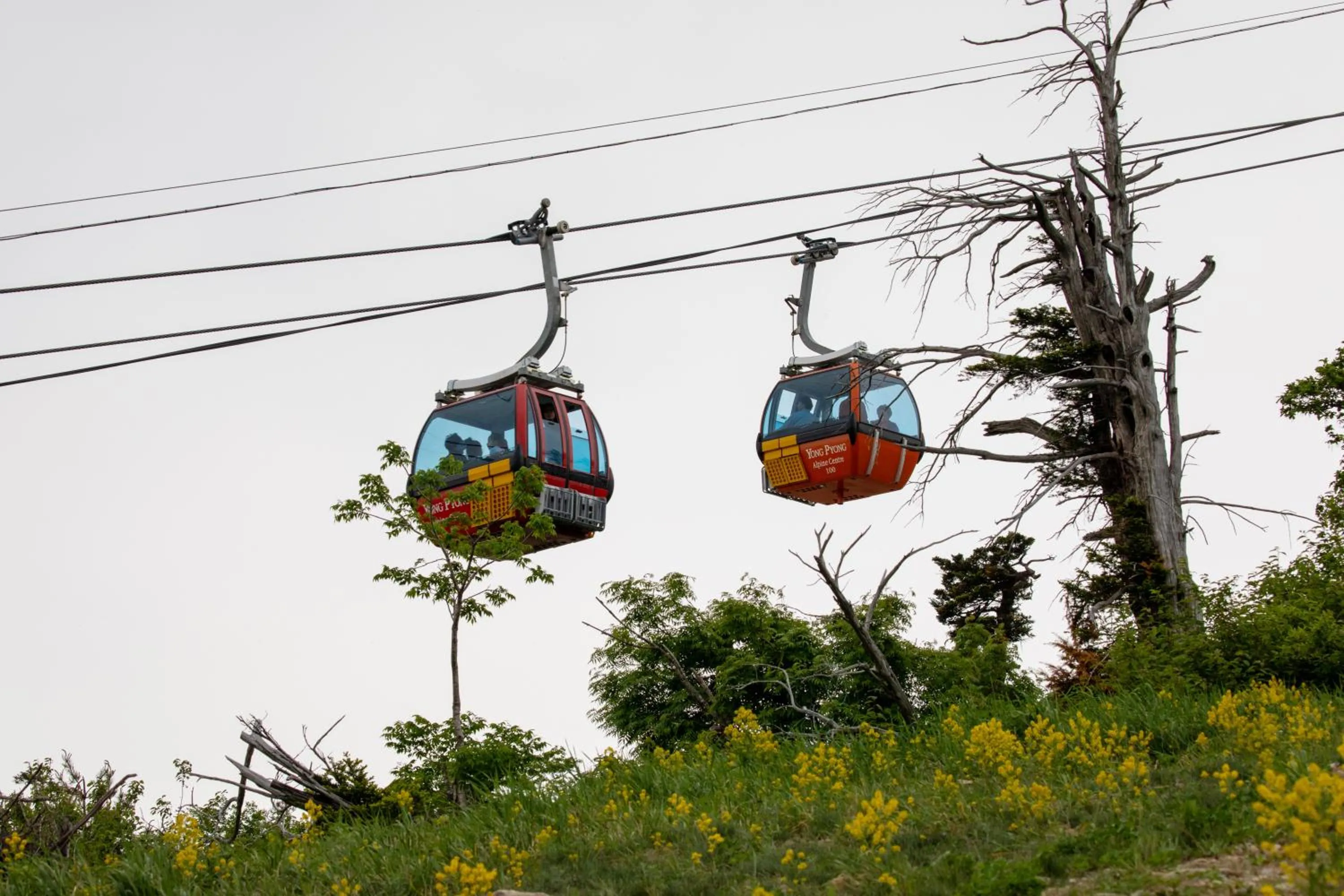 Nearby landmark in Mona Yongpyong