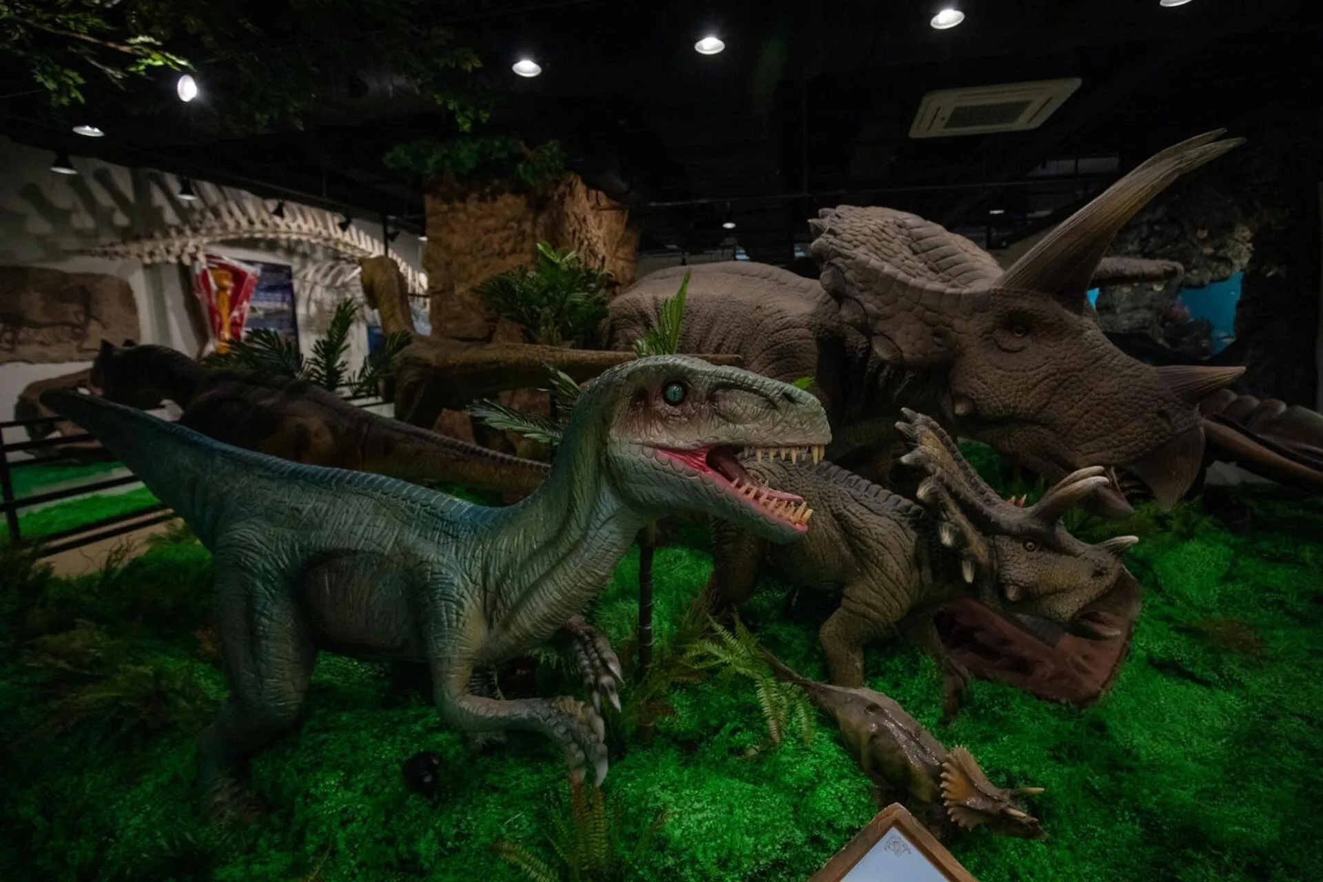 Nearby landmark in Mona Yongpyong