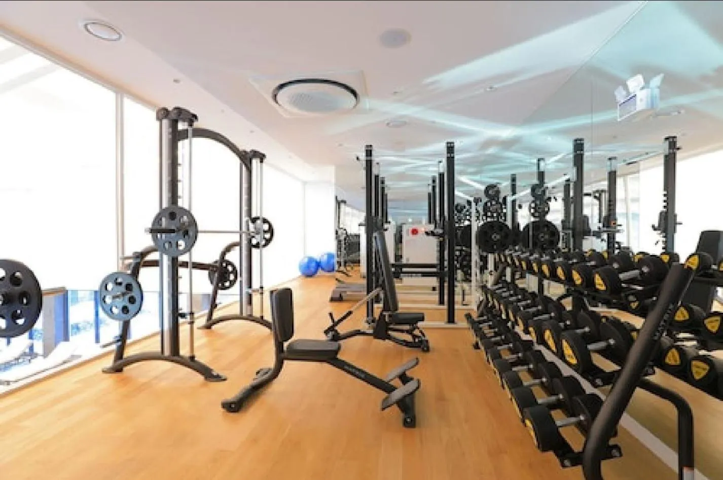 Fitness centre/facilities in Mona Yongpyong