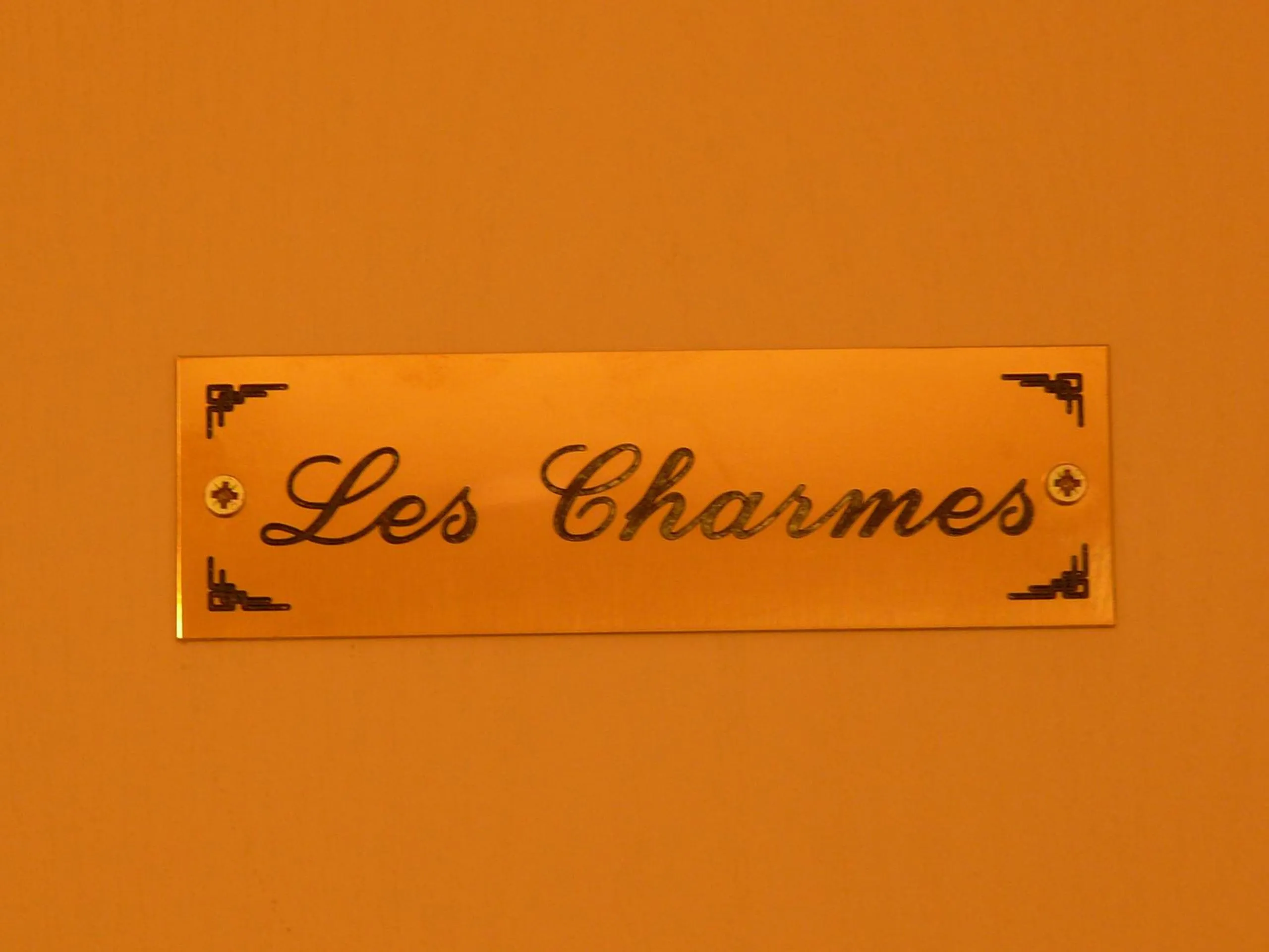 Decorative detail in Domaine Joseph LAFARGE Wine Resort B&B