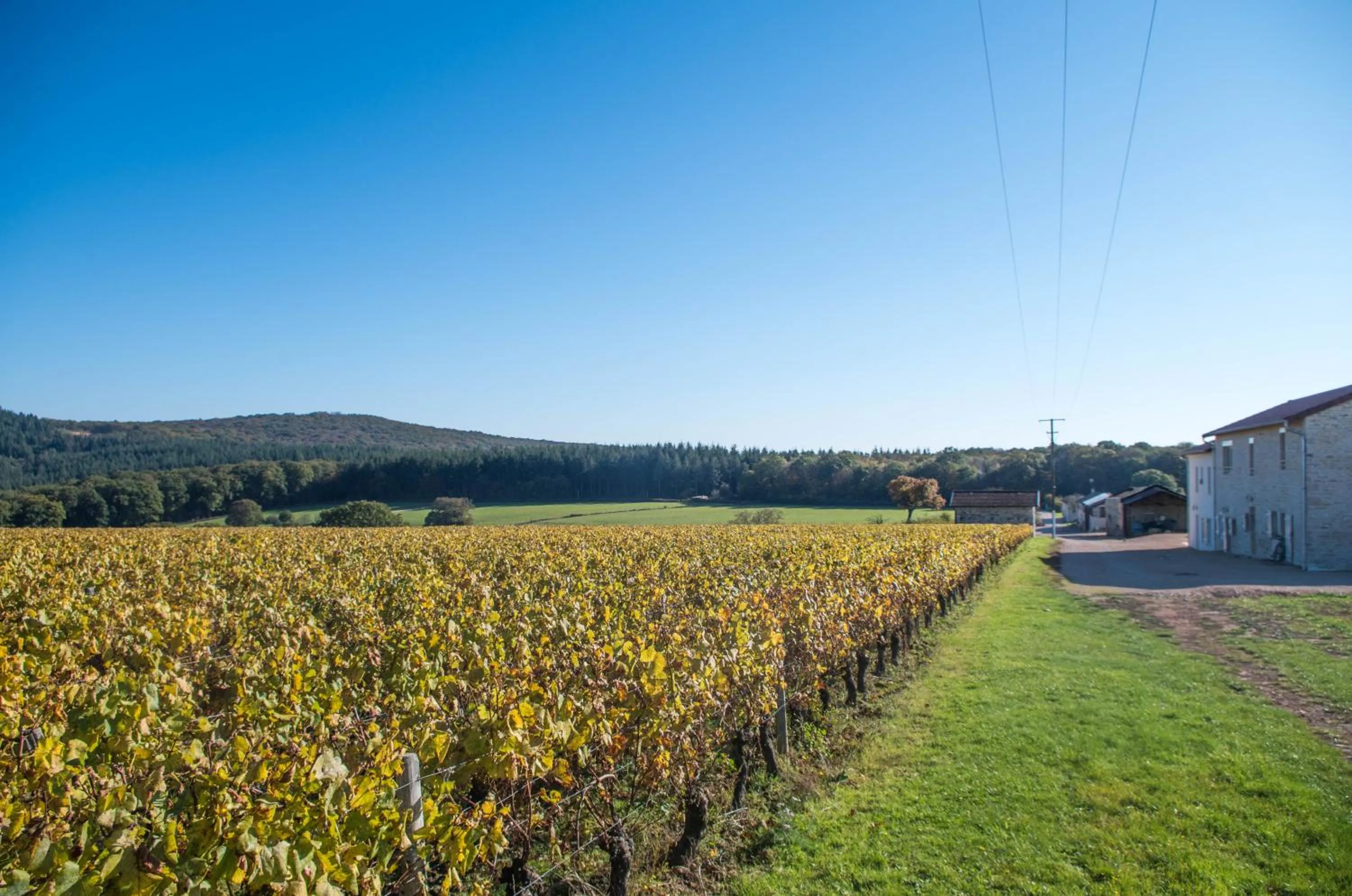 Garden in Domaine Joseph LAFARGE Wine Resort B&B