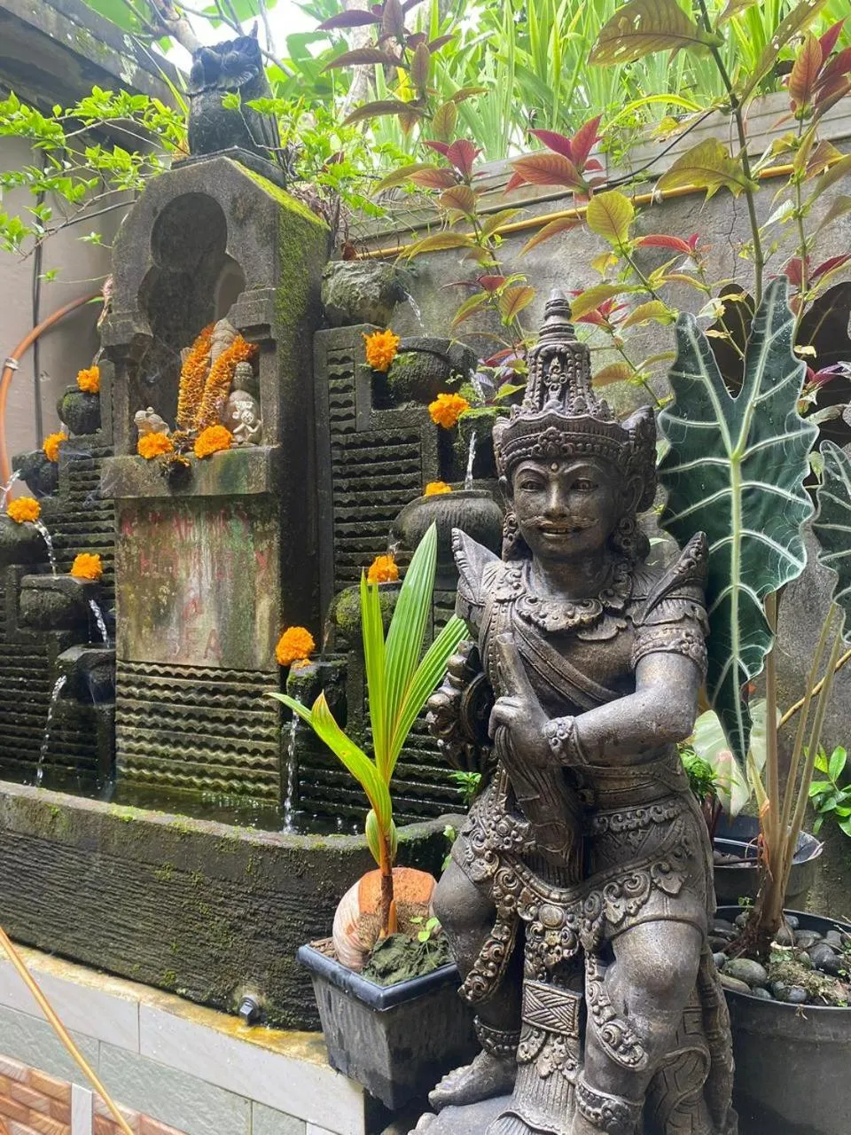 Garden in Rumah Ary Homestay & Spa