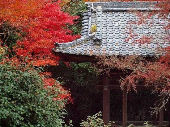 Nearby landmark in Guest House Hana