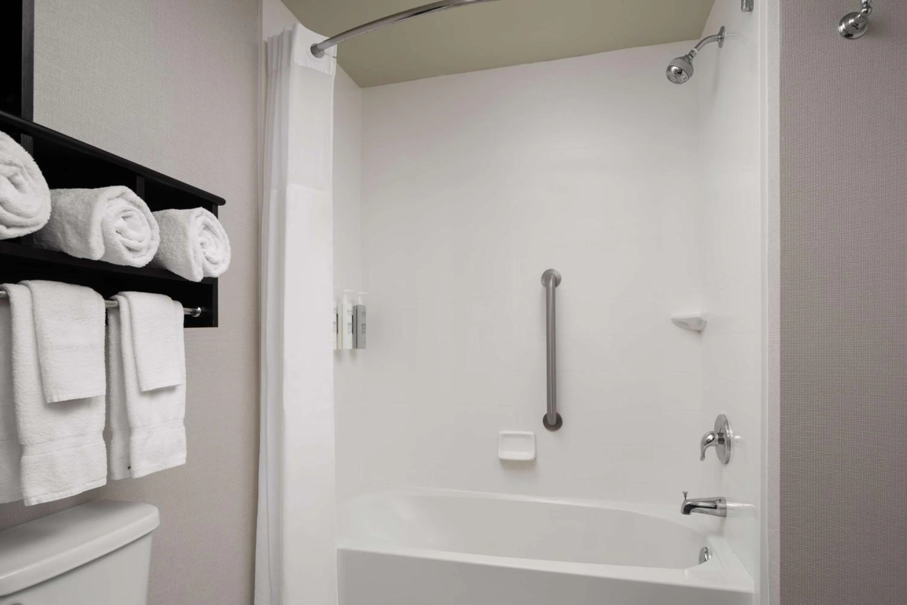 Bathroom in Hampton Inn & Suites Orlando/Downtown South - Medical Center