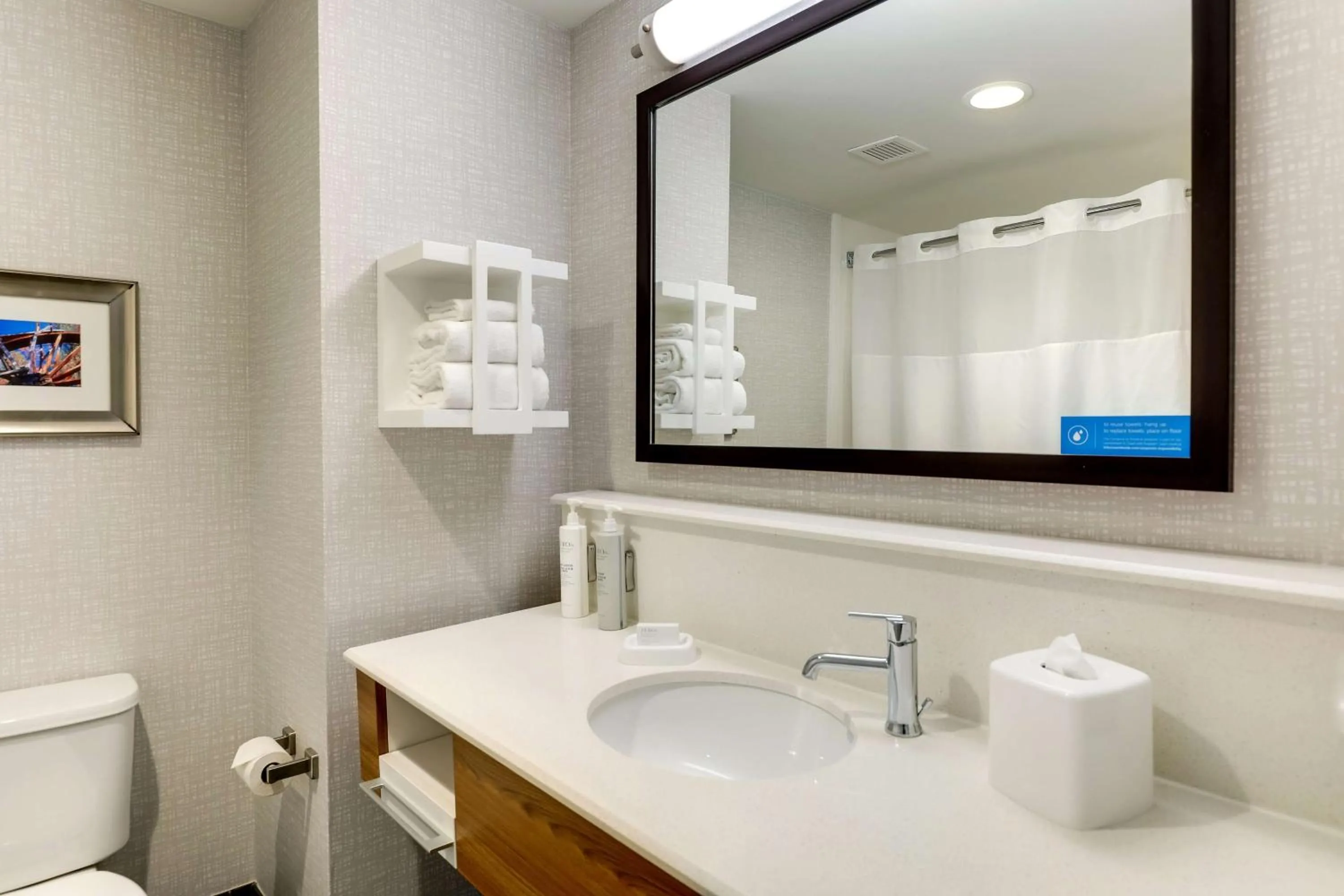 Bathroom in Hampton Inn and Suites Rome, GA