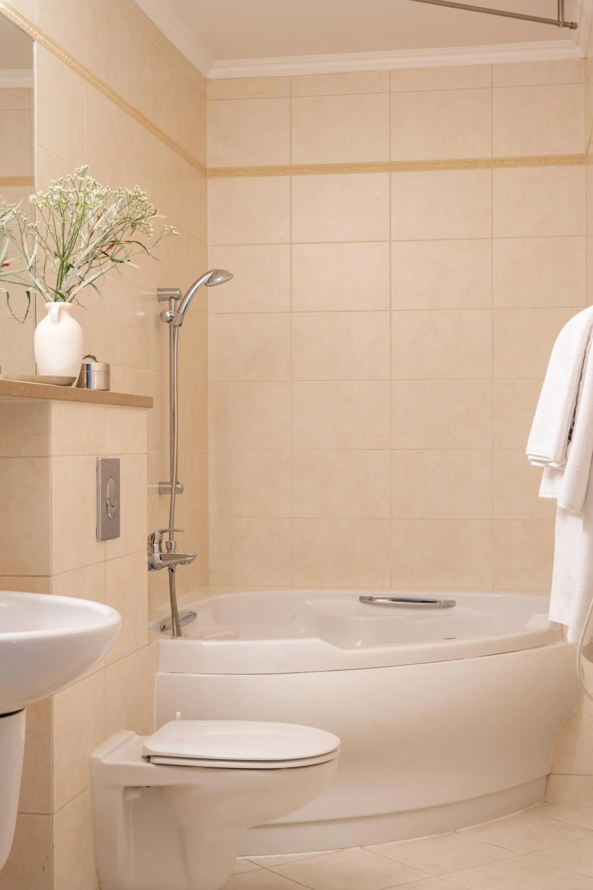 Toilet in Czarny Potok Wellness & Spa Zakopane Centrum