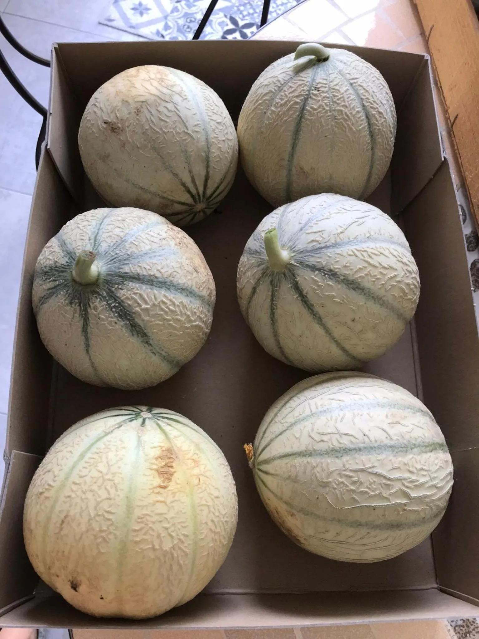 Restaurant/places to eat in Les 3 Tilleuls