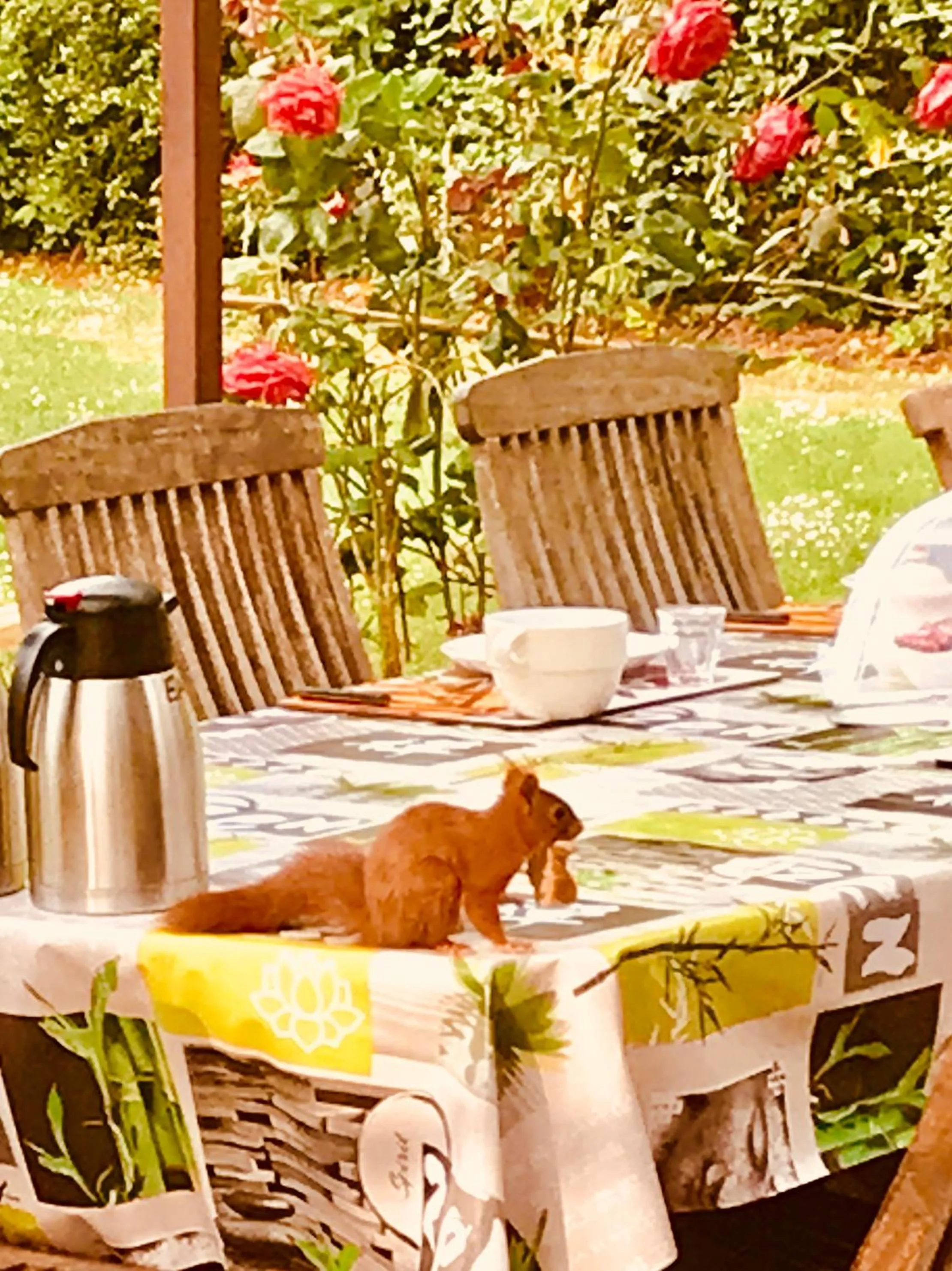 Balcony/Terrace in Les 3 Tilleuls