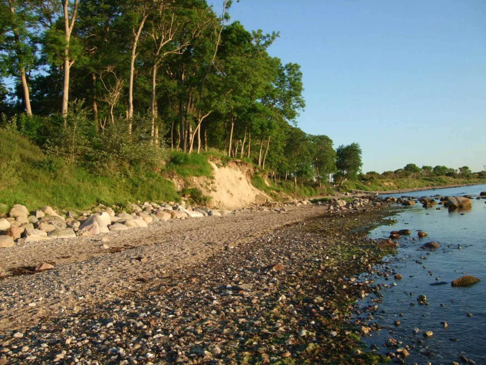 Beach in Aparthotel Museumshof