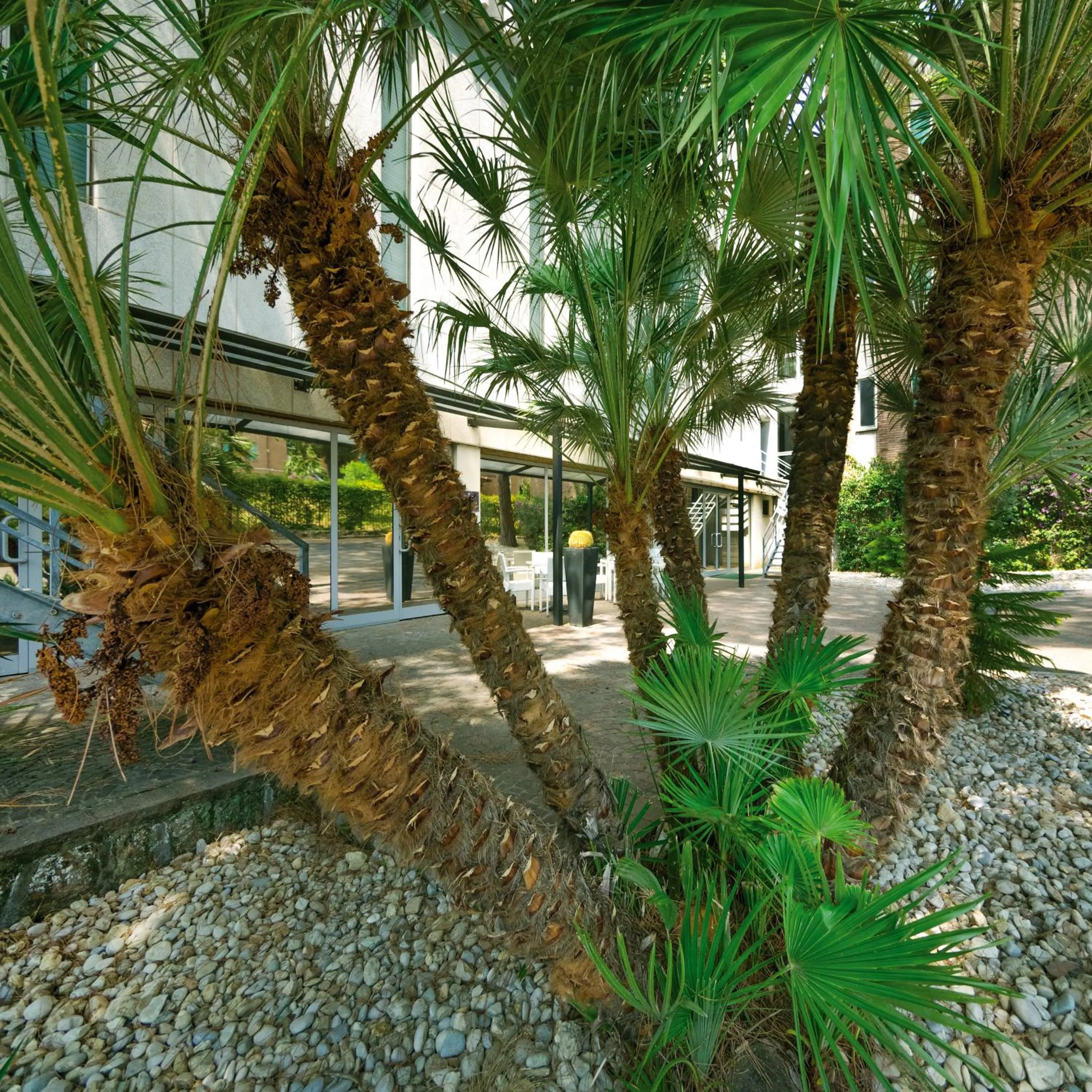 Other in Hotel Villa Maria Regina