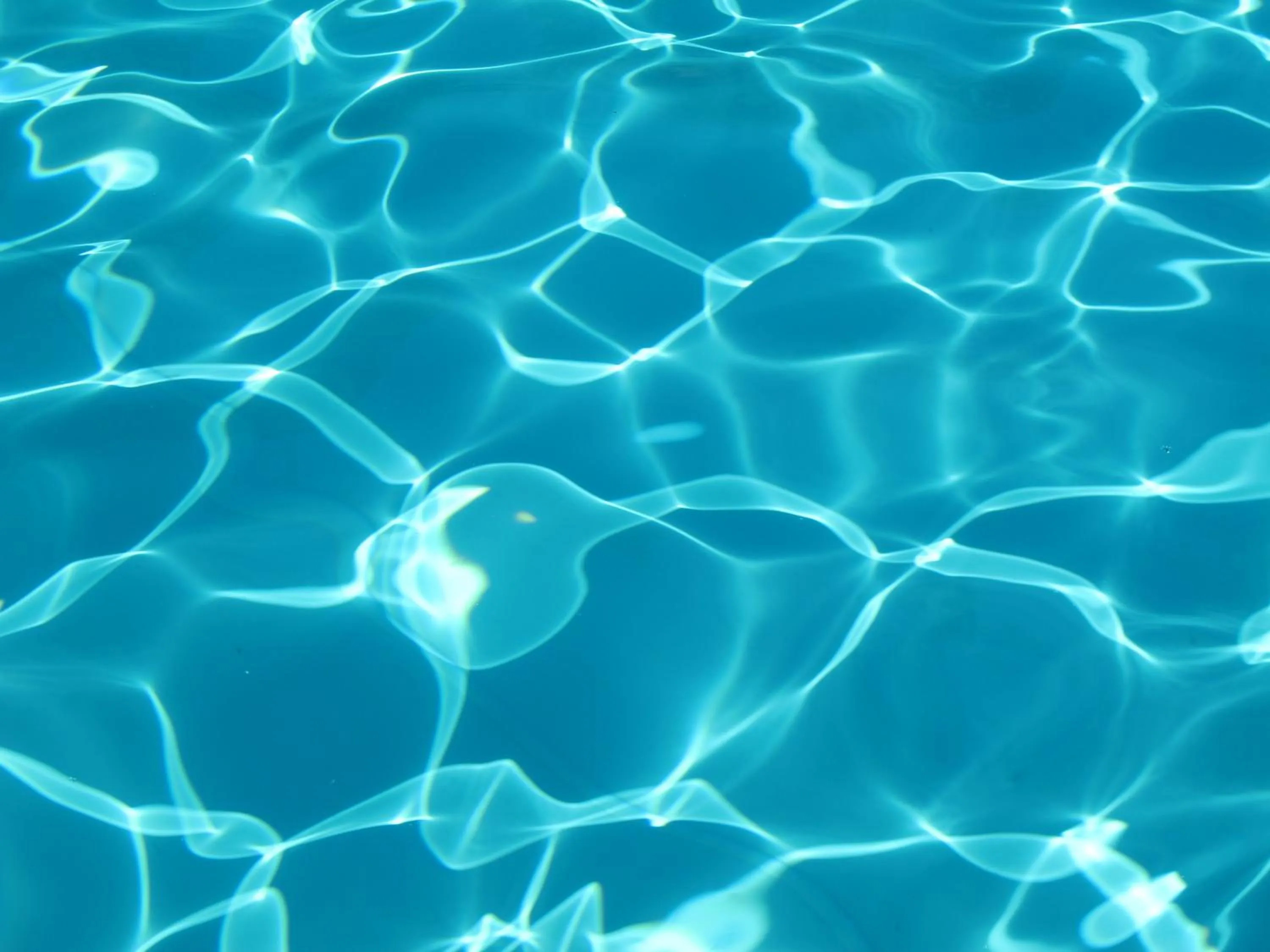 Swimming pool in Villa Campestri Olive Oil Resort