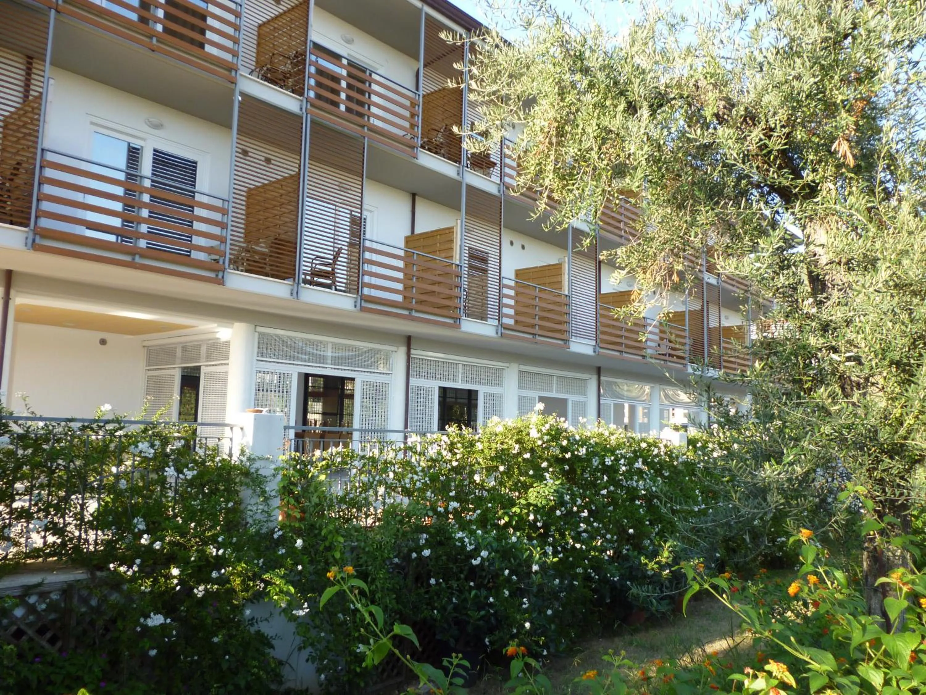 View (from property/room) in Elaia Garden Hotel