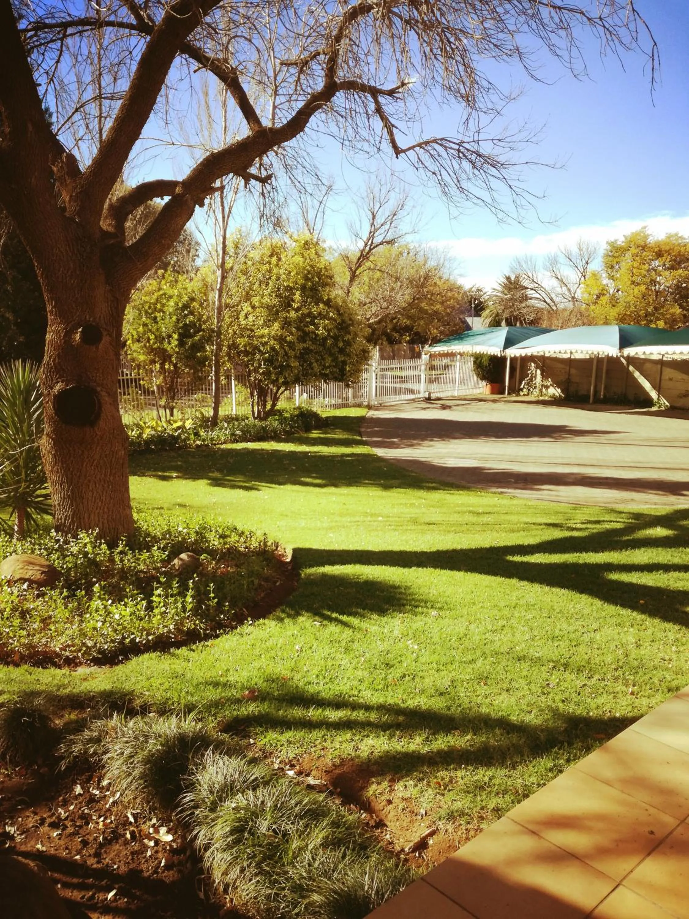 Garden view in Bayswater Lodge