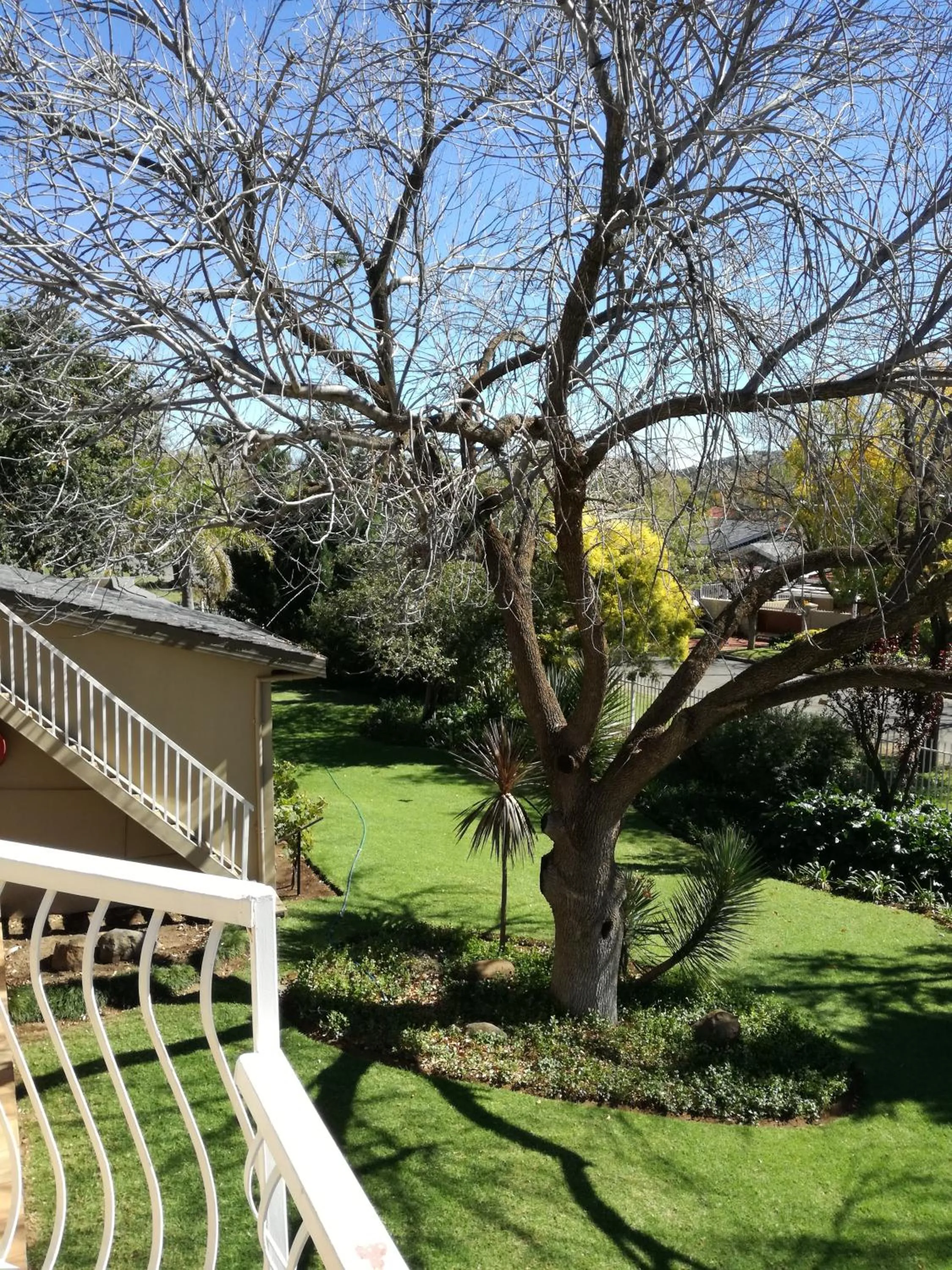 Garden view in Bayswater Lodge