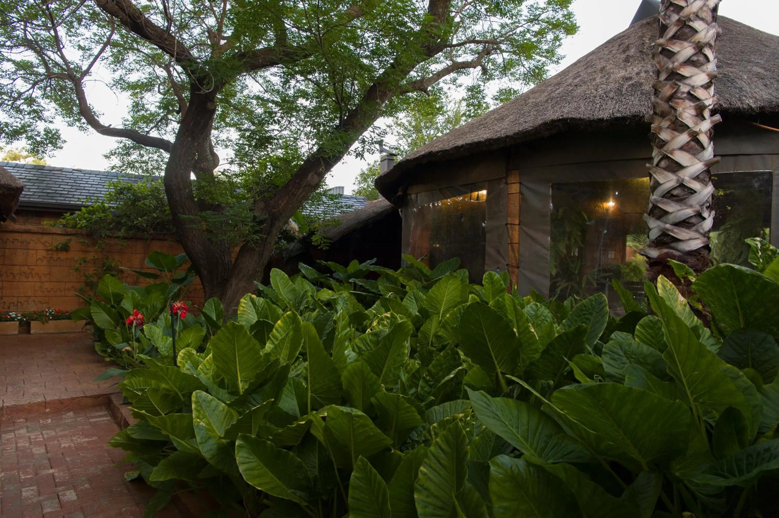 Garden view in Bayswater Lodge
