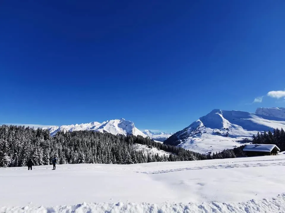 Skiing in Auberge Du Fraizier