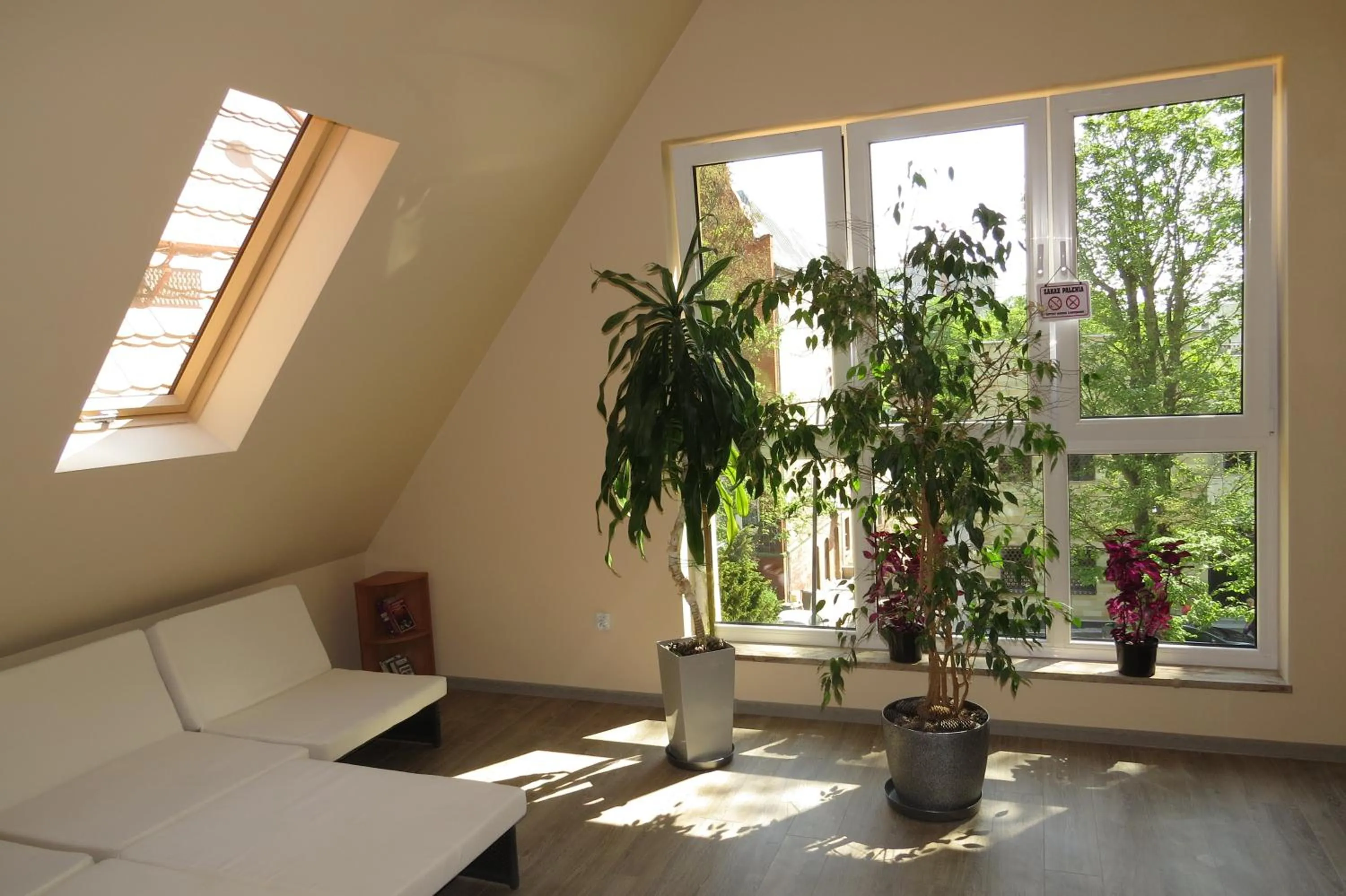 Activities in Hotel Cis