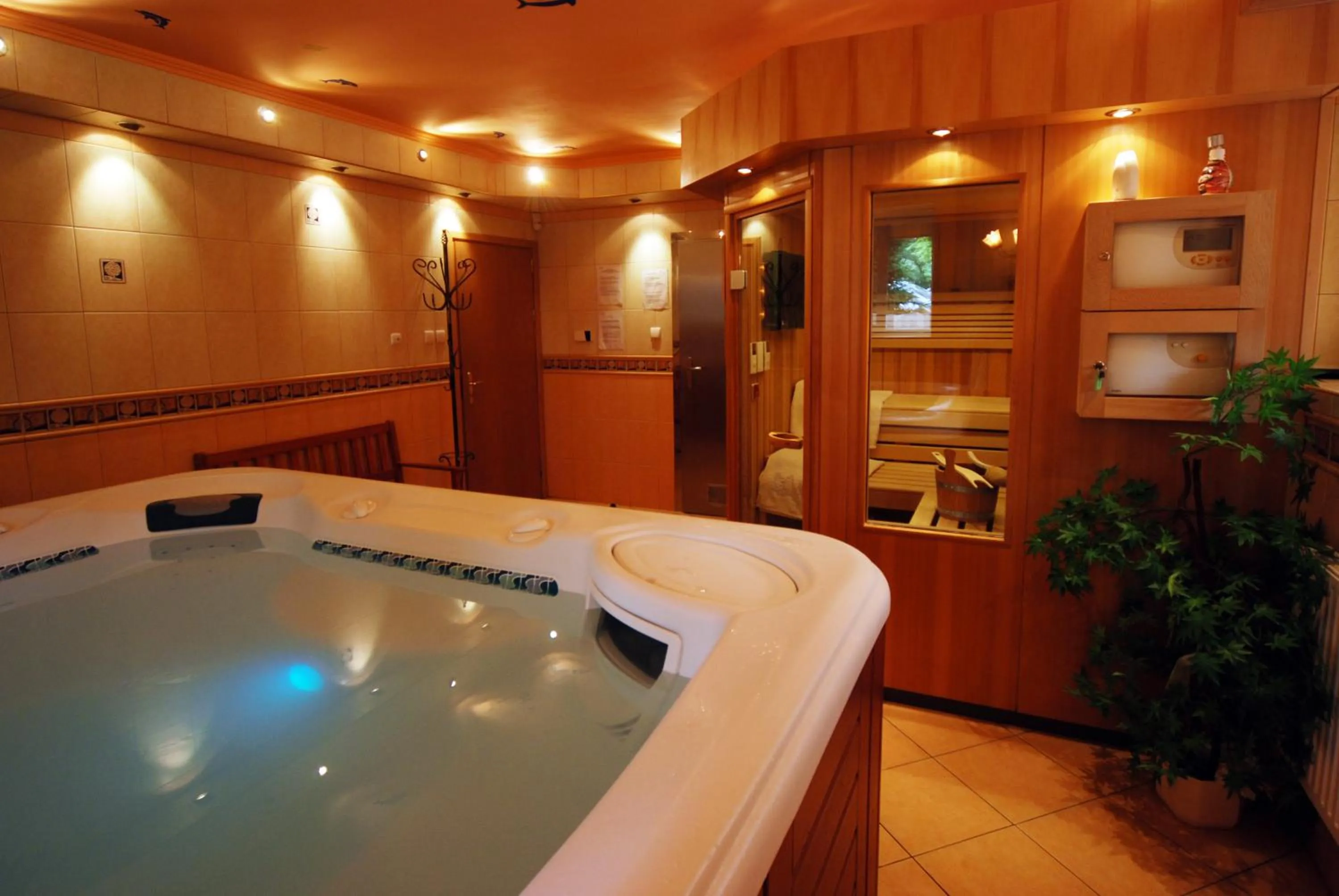 Spa and wellness centre/facilities in Hotel Cis