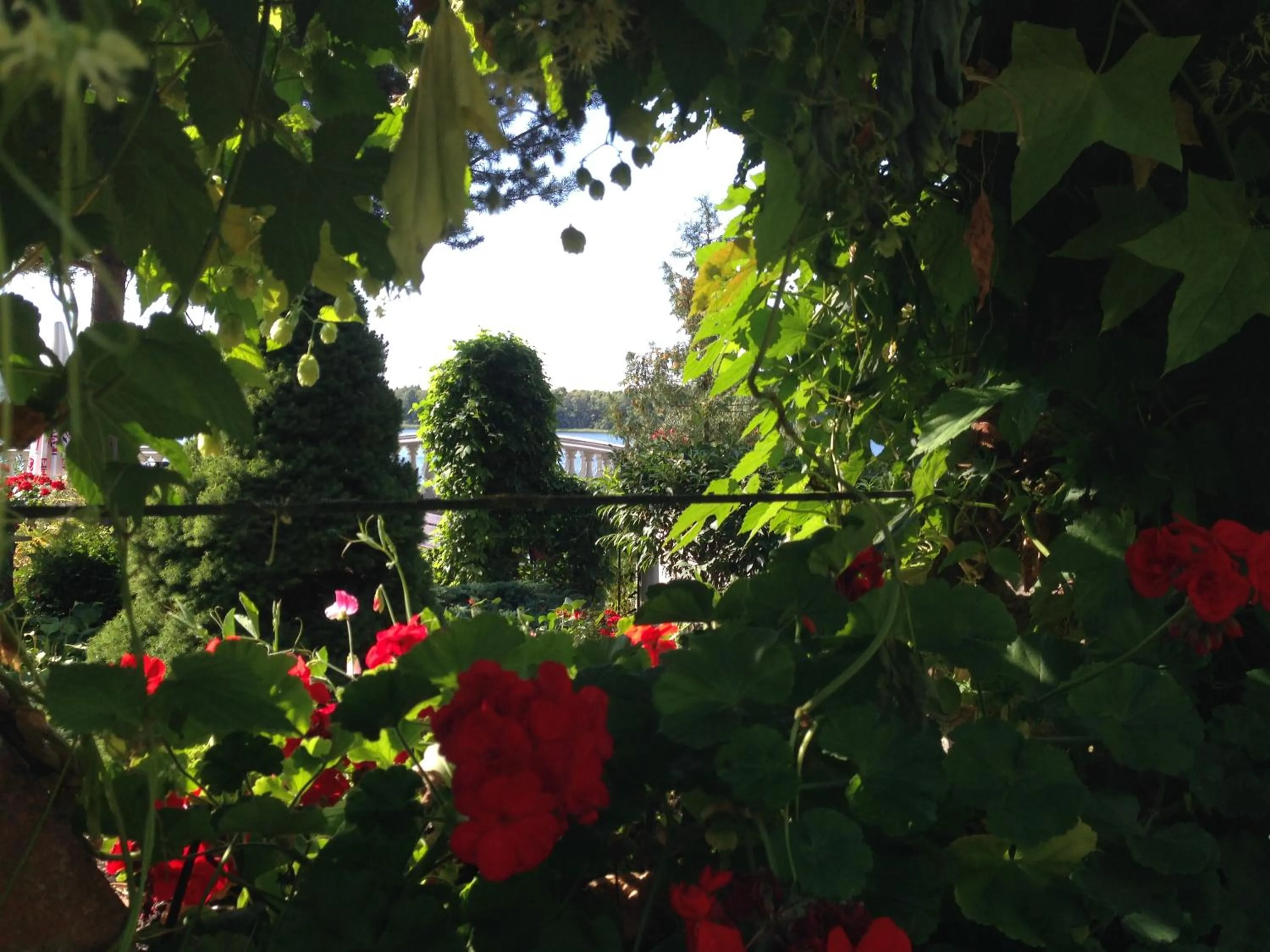 Spring in Hotel Solar Palace SPA & Wellness