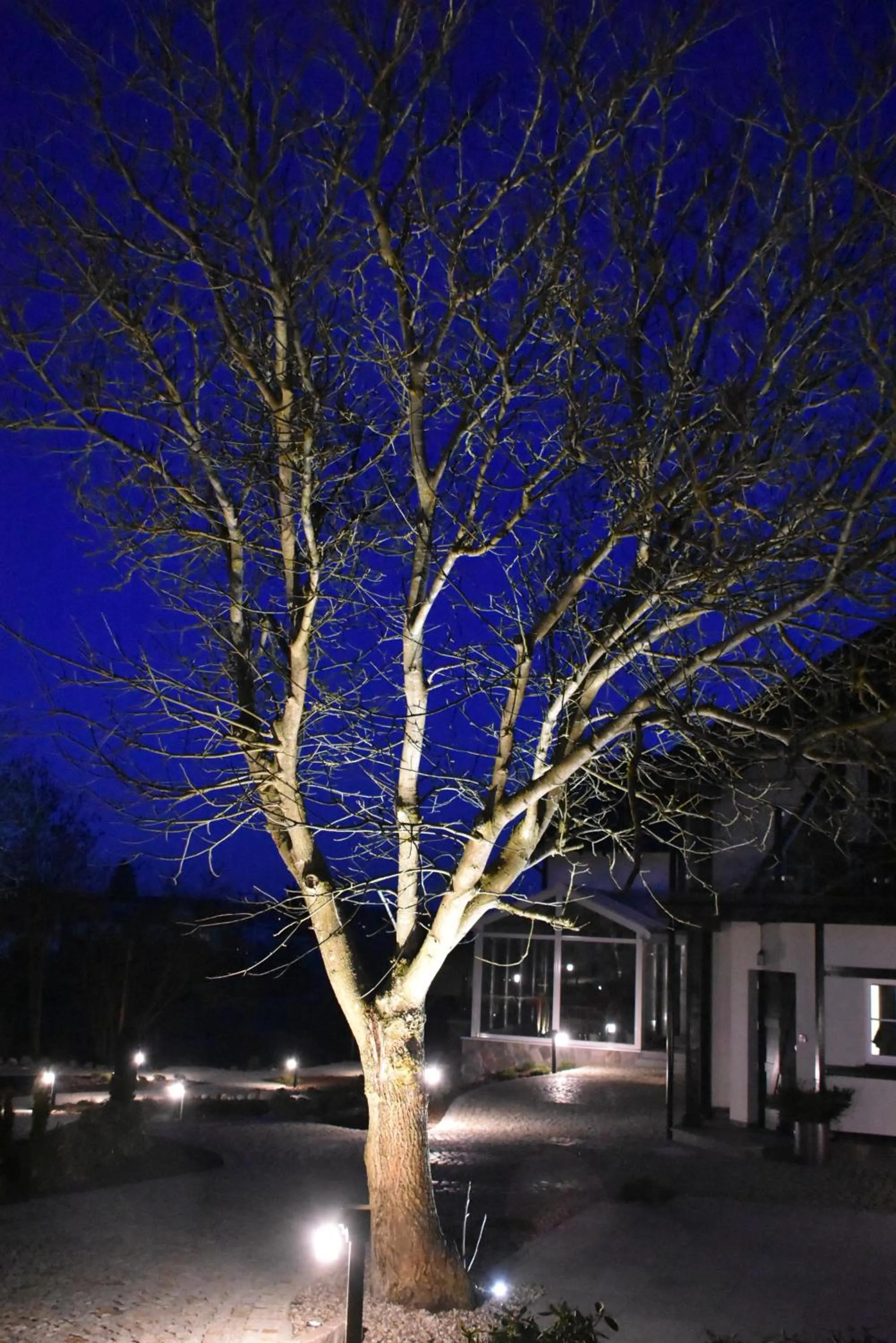 Garden in Estancja Mezowo