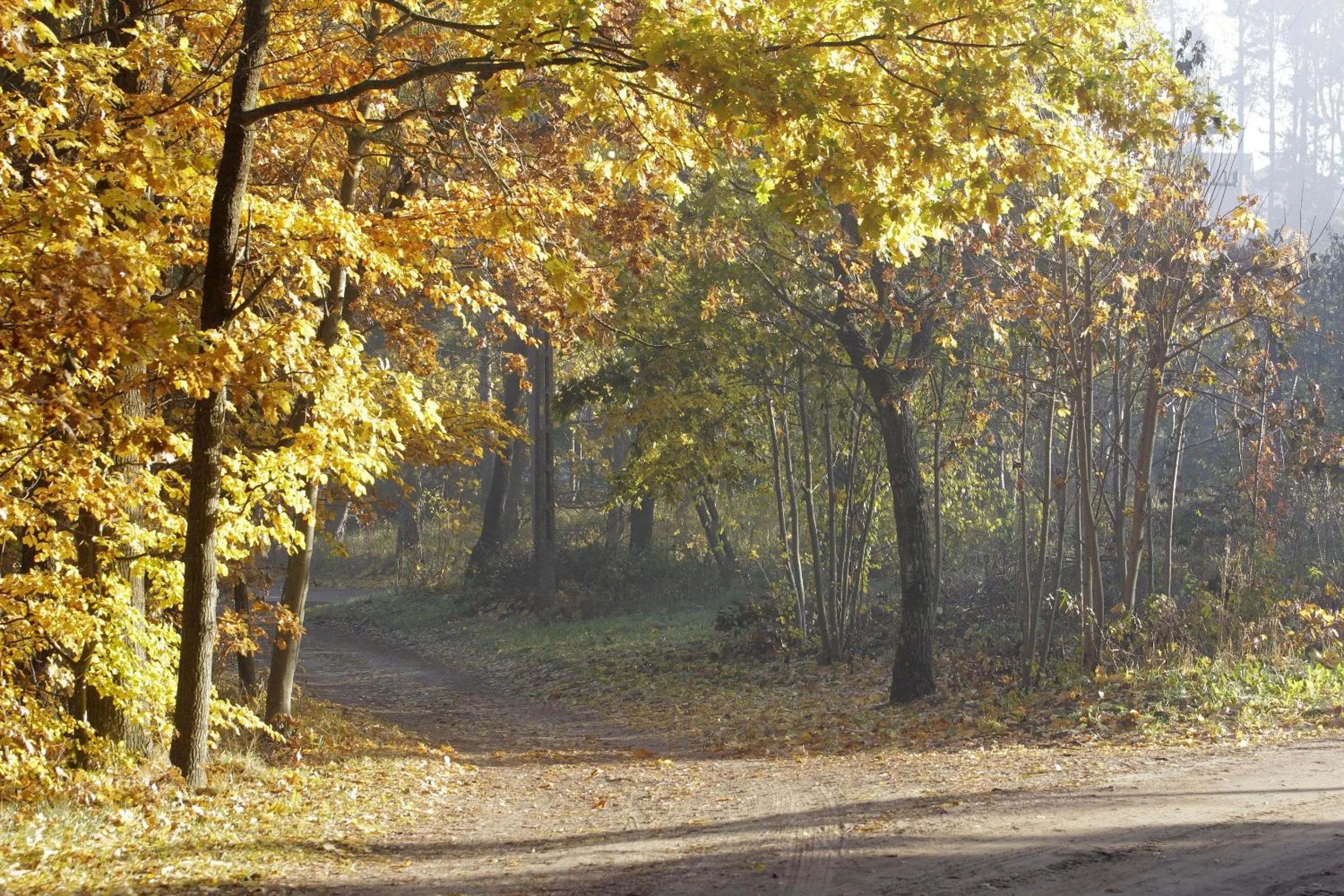 Neighbourhood in Estancja Mezowo